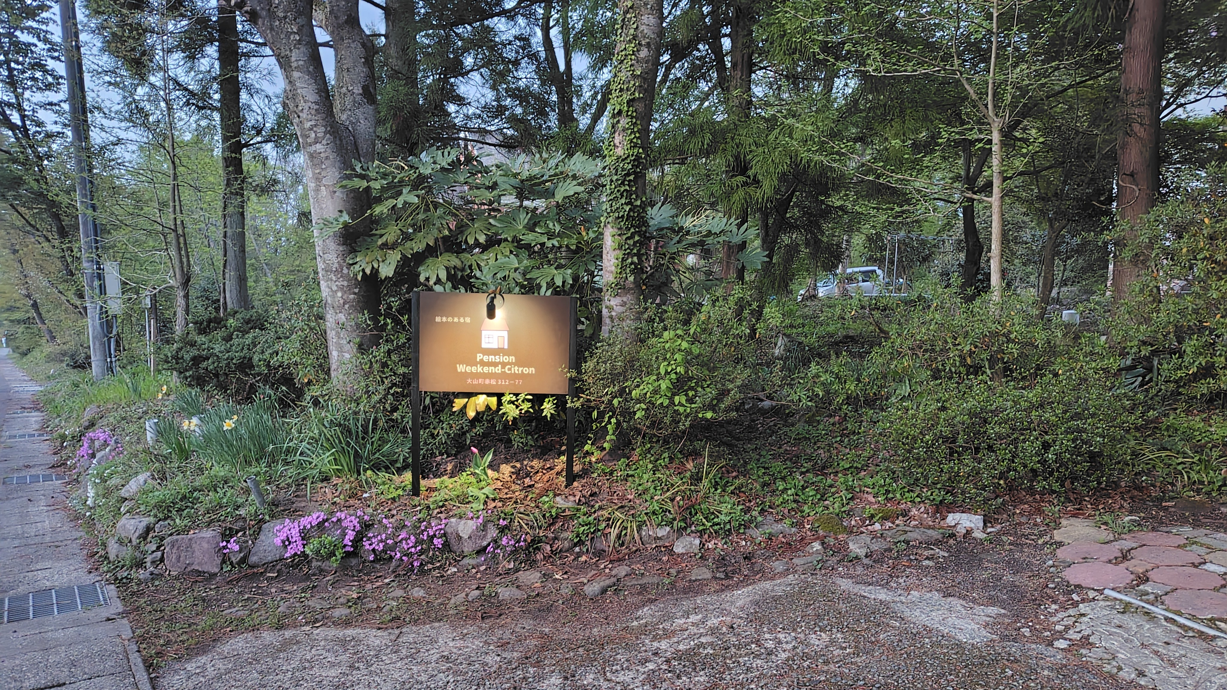 펜션 위켄드 시트론