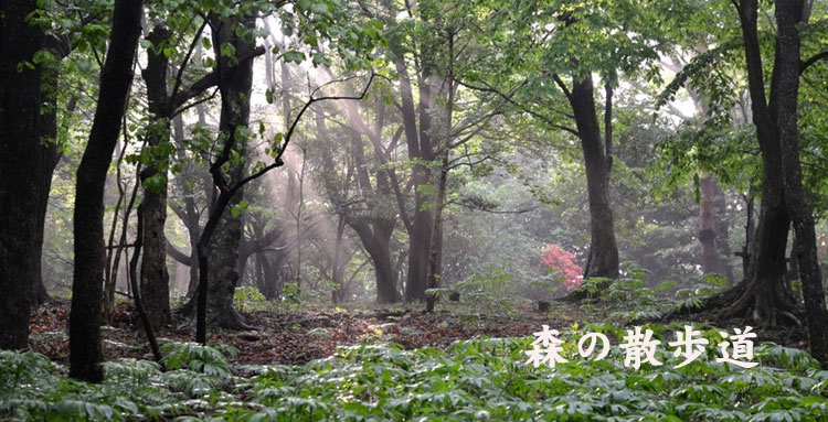 霧島溫泉旅行人山莊