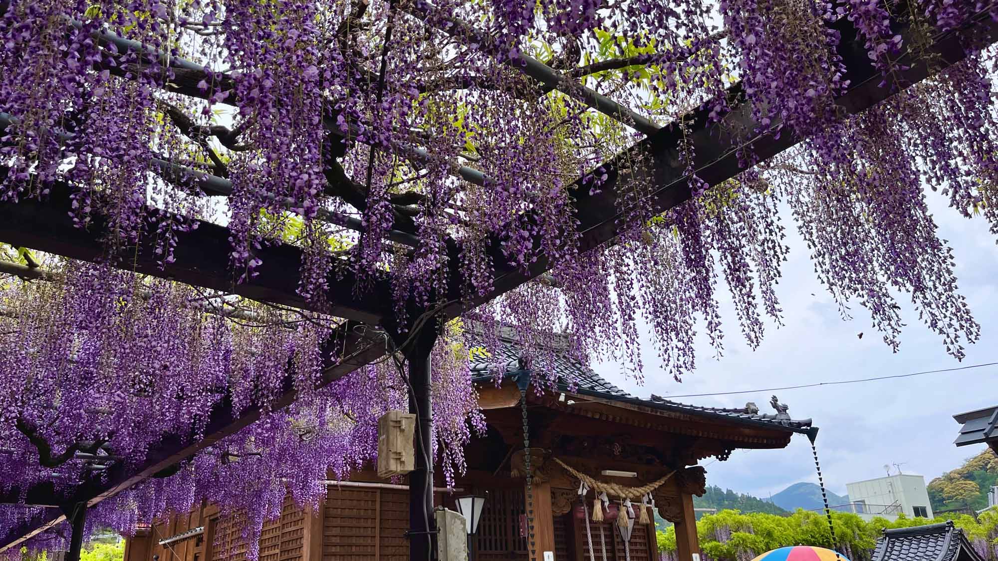 太田旅館