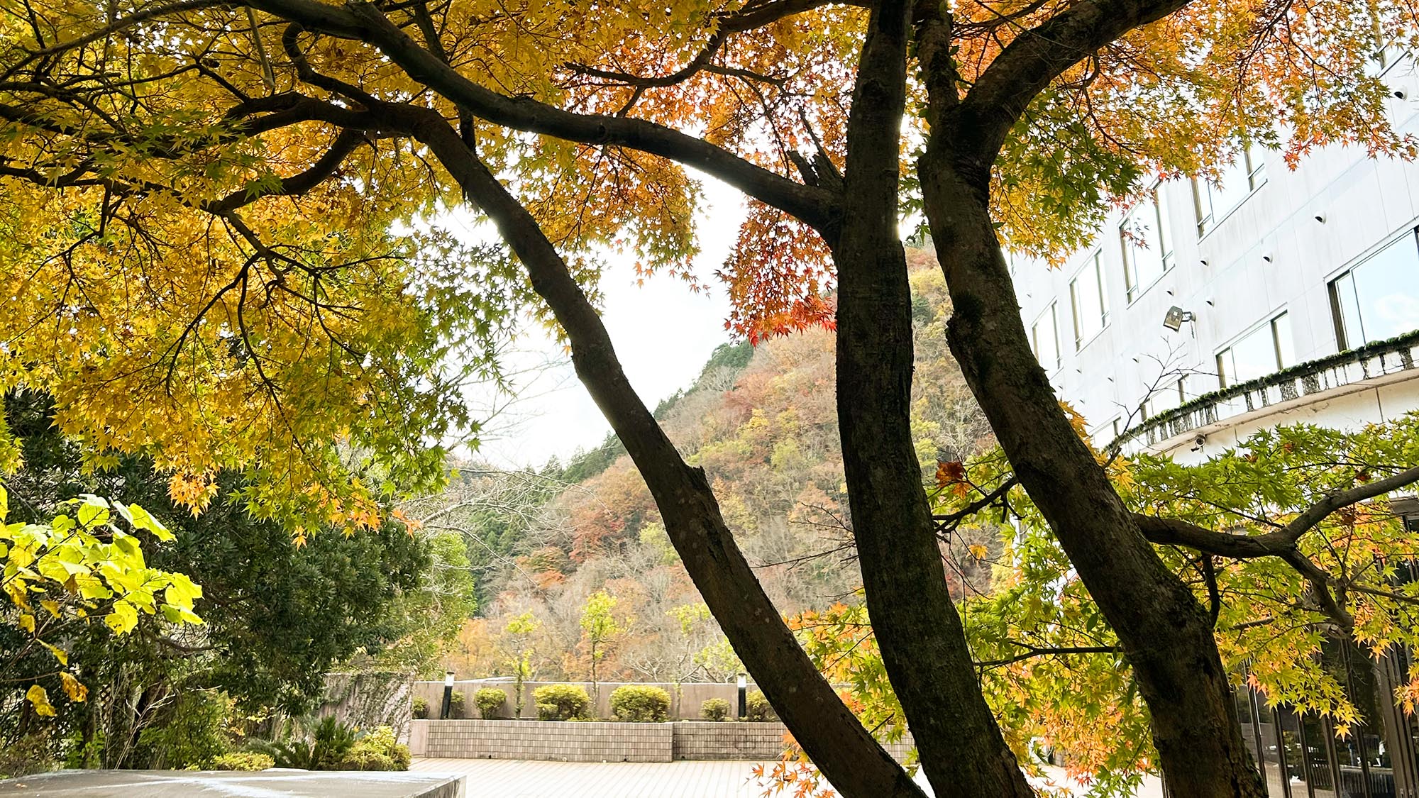 Izu Shuzenji Onsen Hotel Takitei