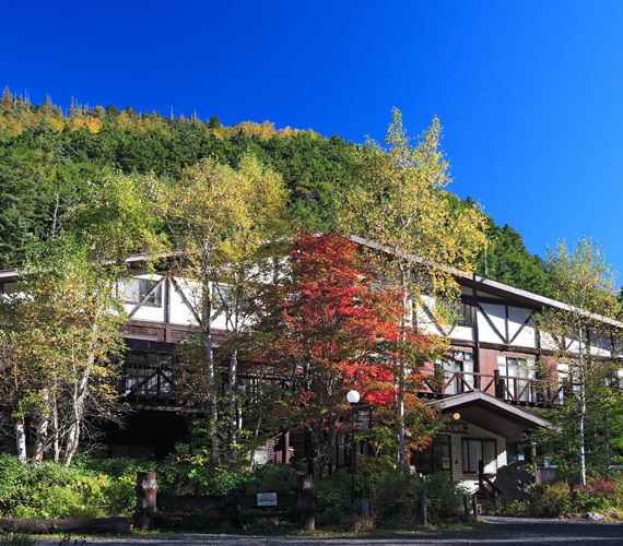 蓼科溫泉　八岳名湯旅館　唐澤礦泉