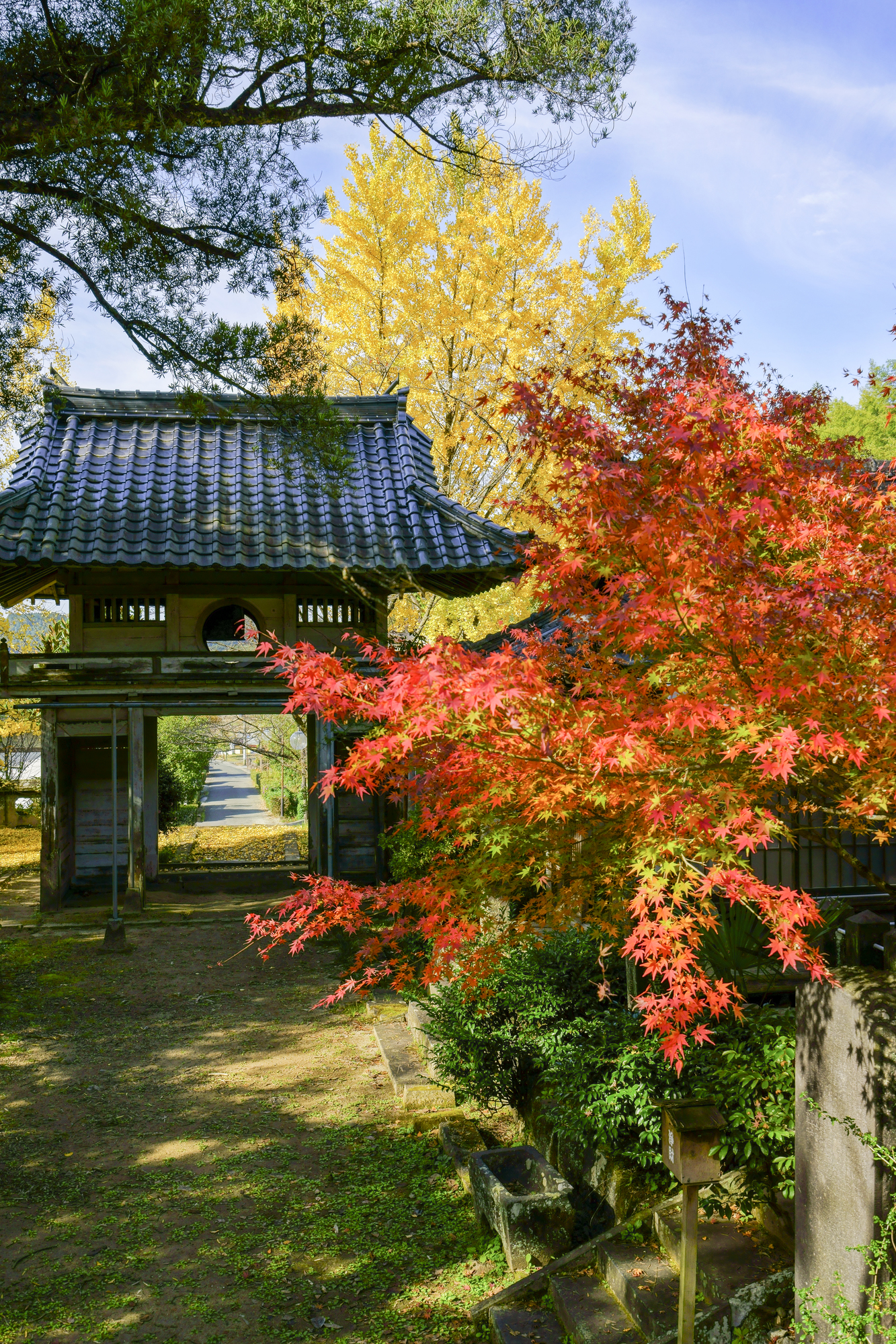 湶汤宿OYO旅馆