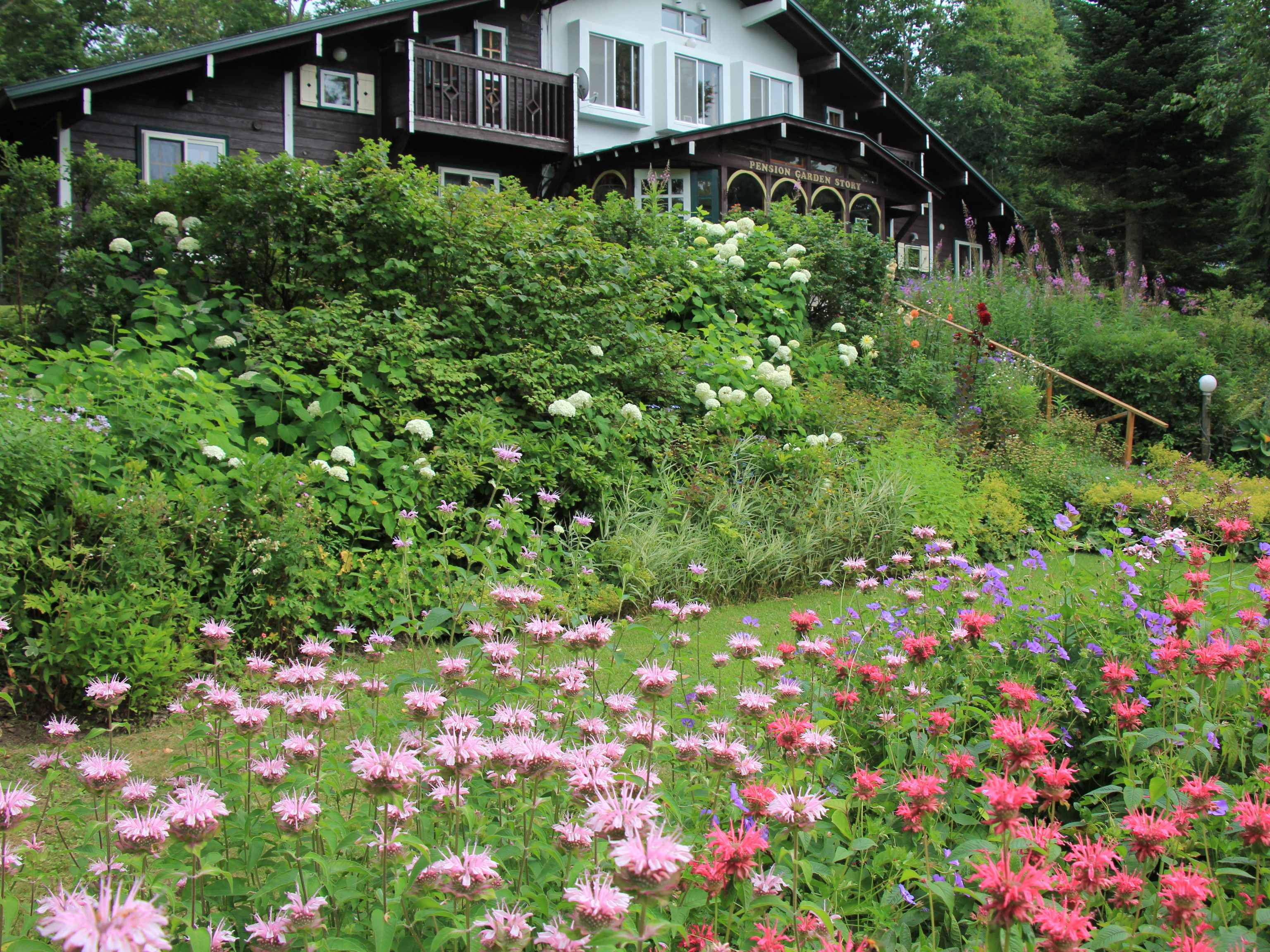 Pension Garden Story