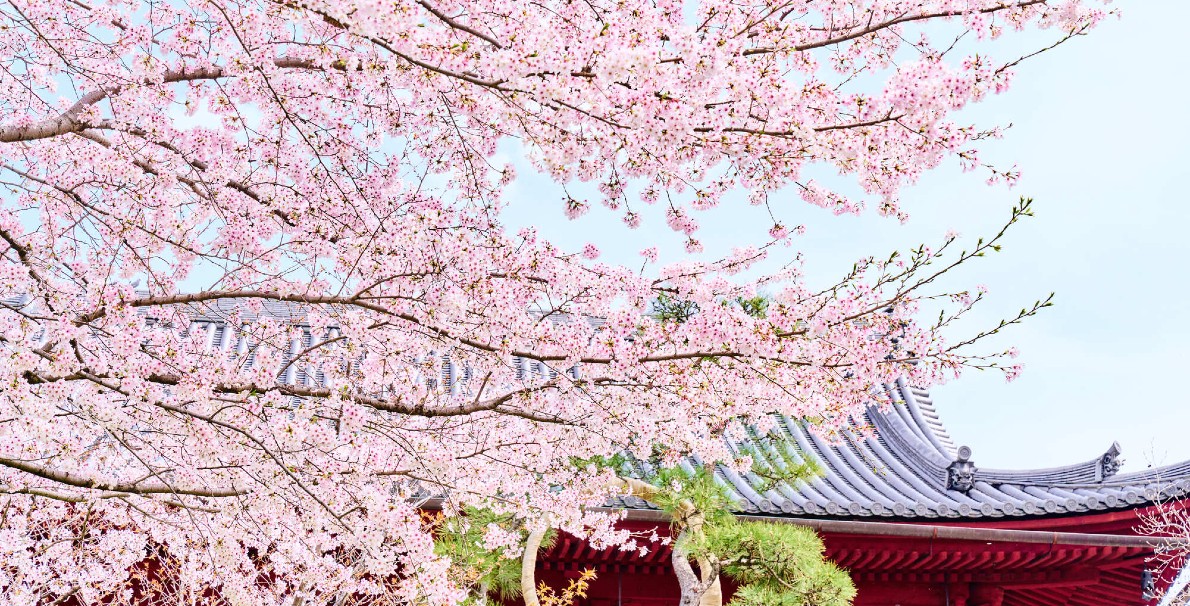 Ｔａｂｉｓｔ　ＨＯＴＥＬ　ＵＥＮＯ　３９