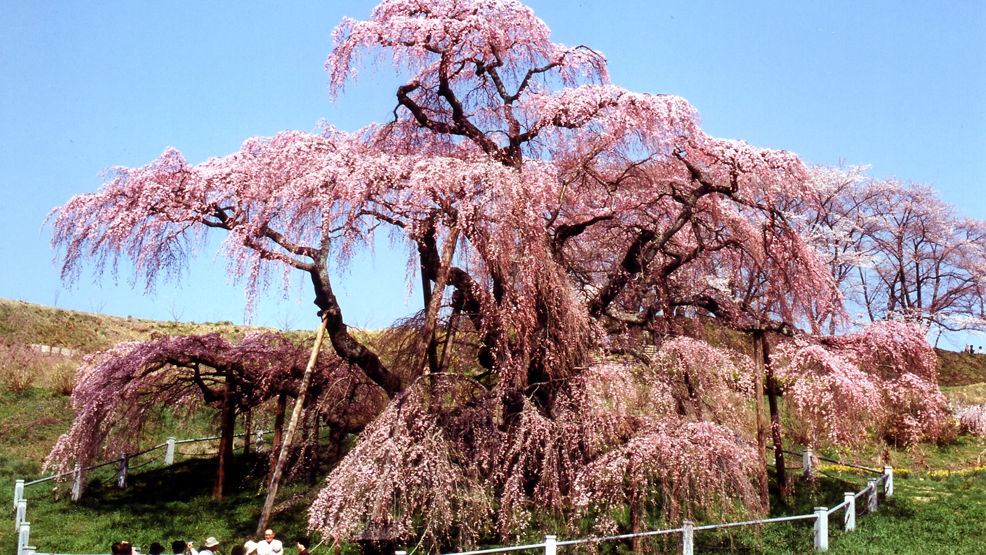 三美屋旅馆