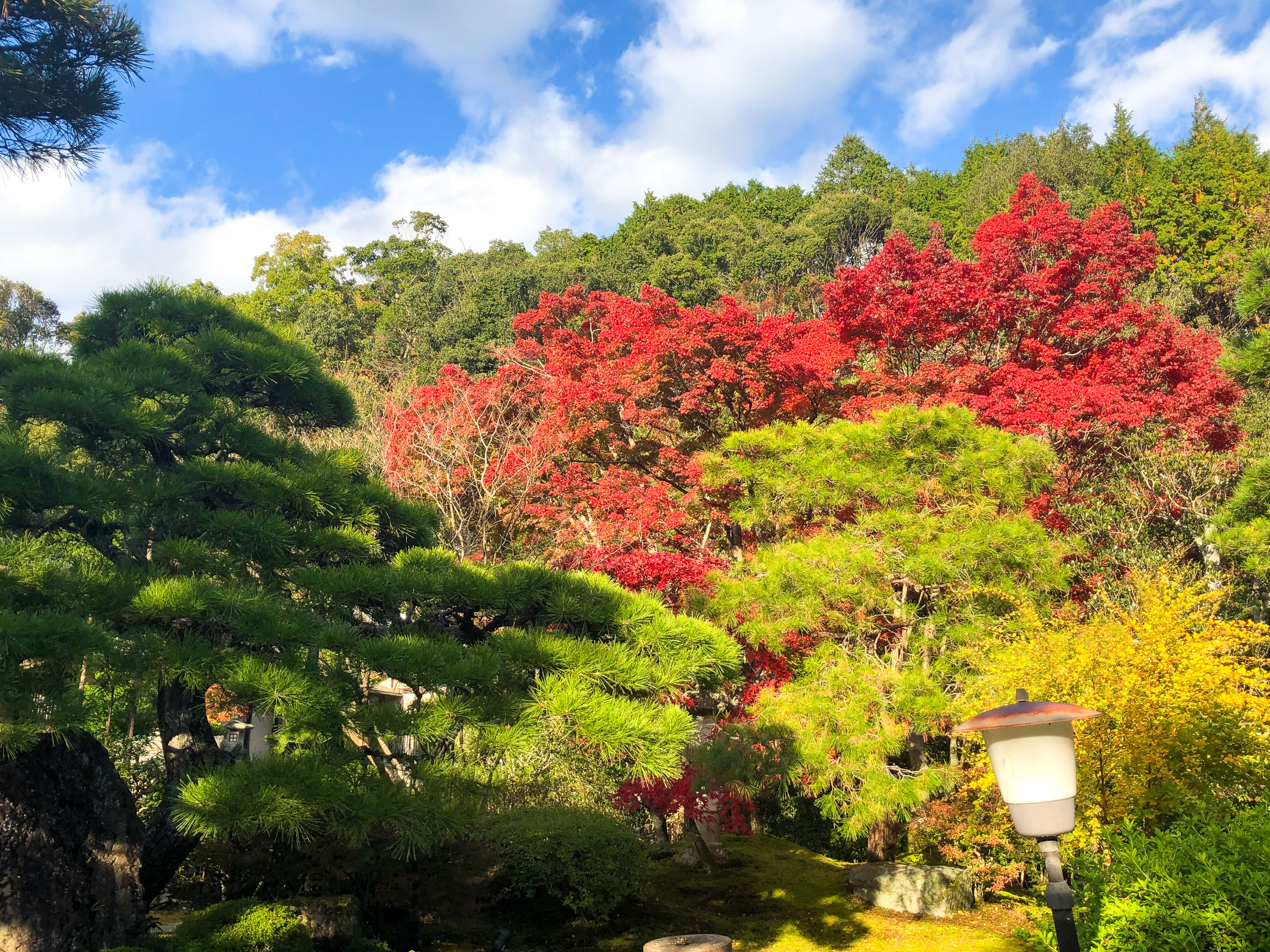 Ryokan Yamazaki