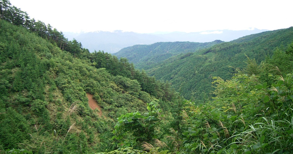 赤石温泉