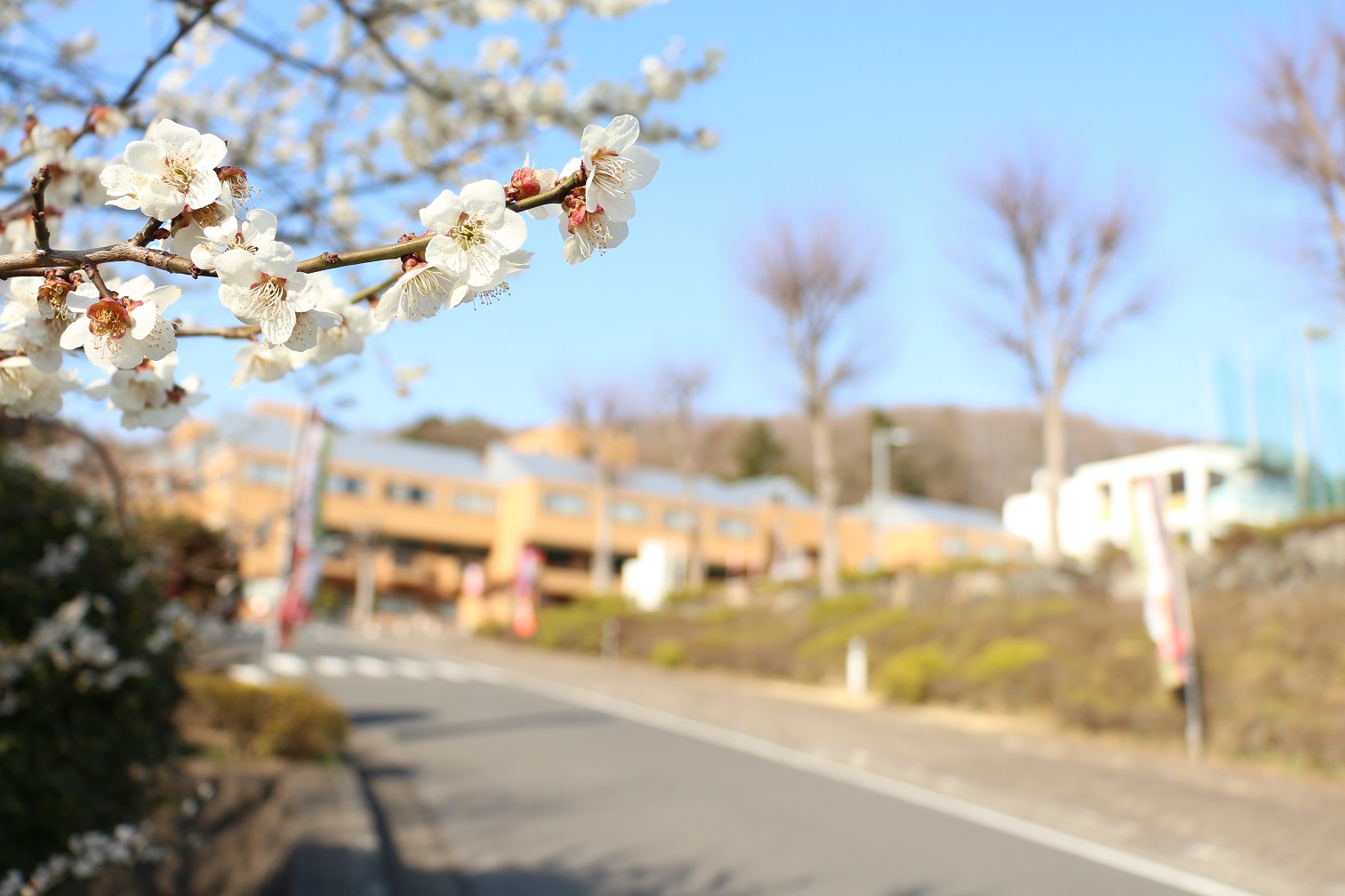 Ogose Onsen New Sunpia Hotel & Resort Saitama