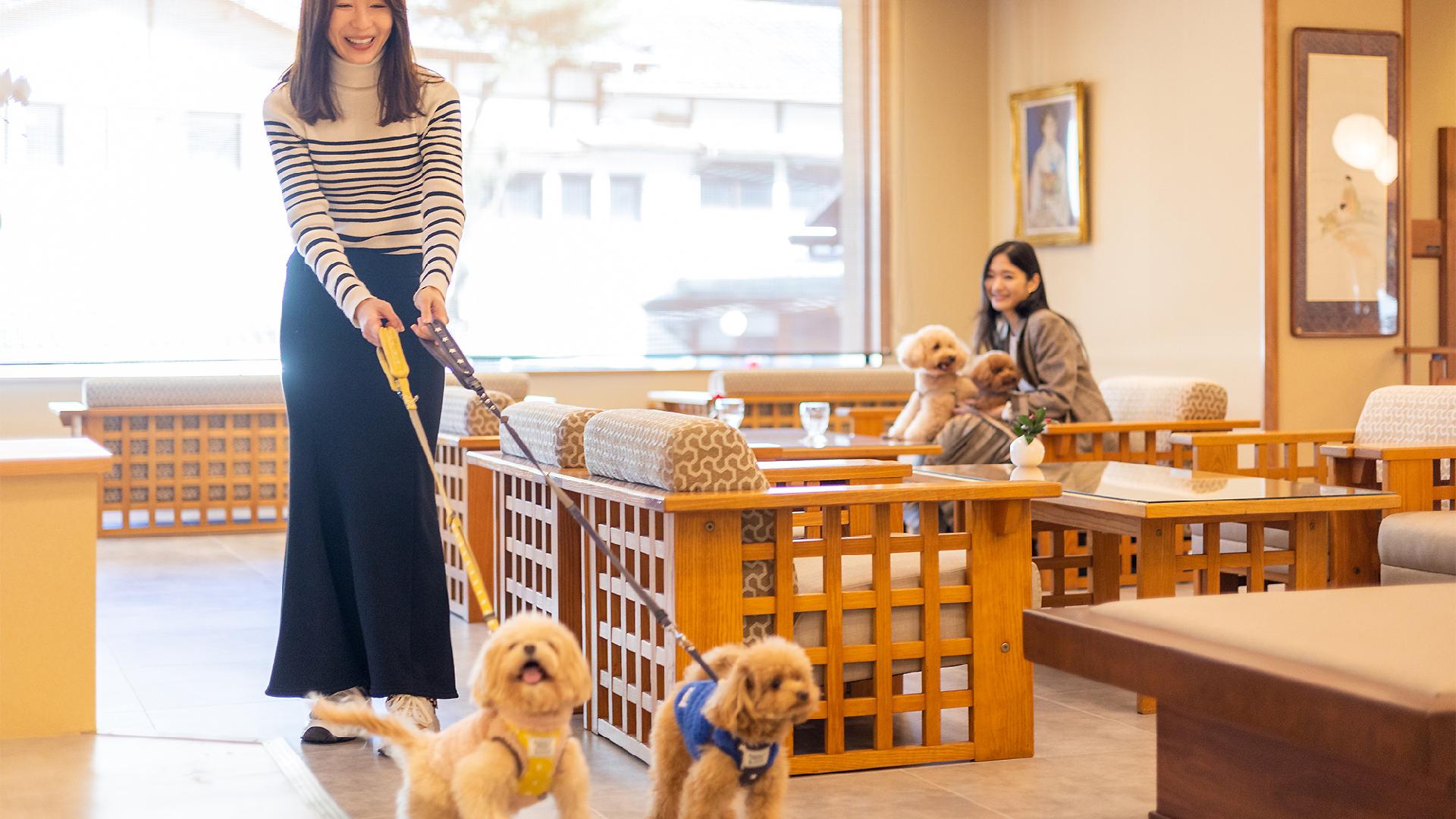 伊豆长冈温泉 小松家八之坊酒店