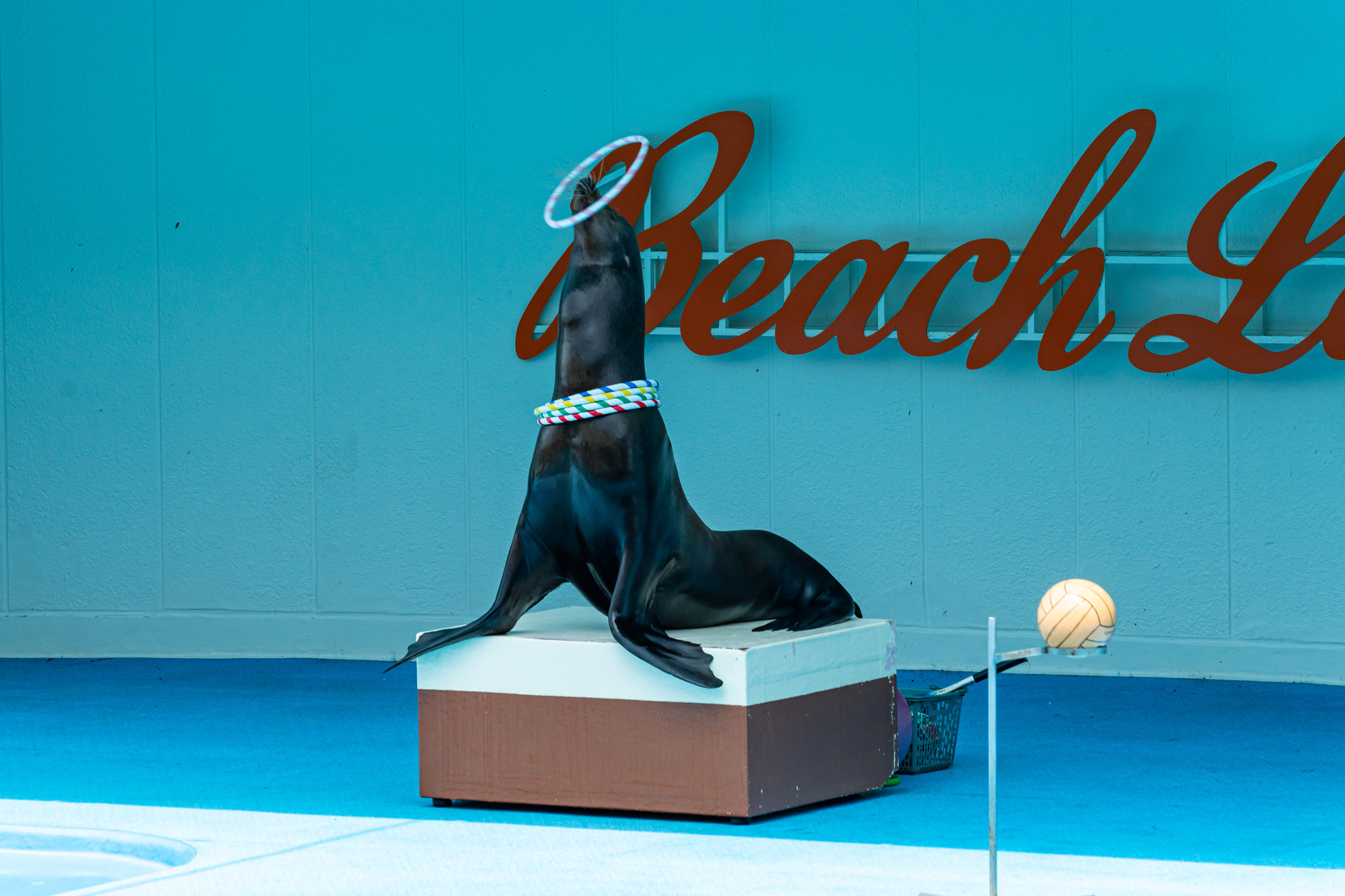 知多 Tabist Centro