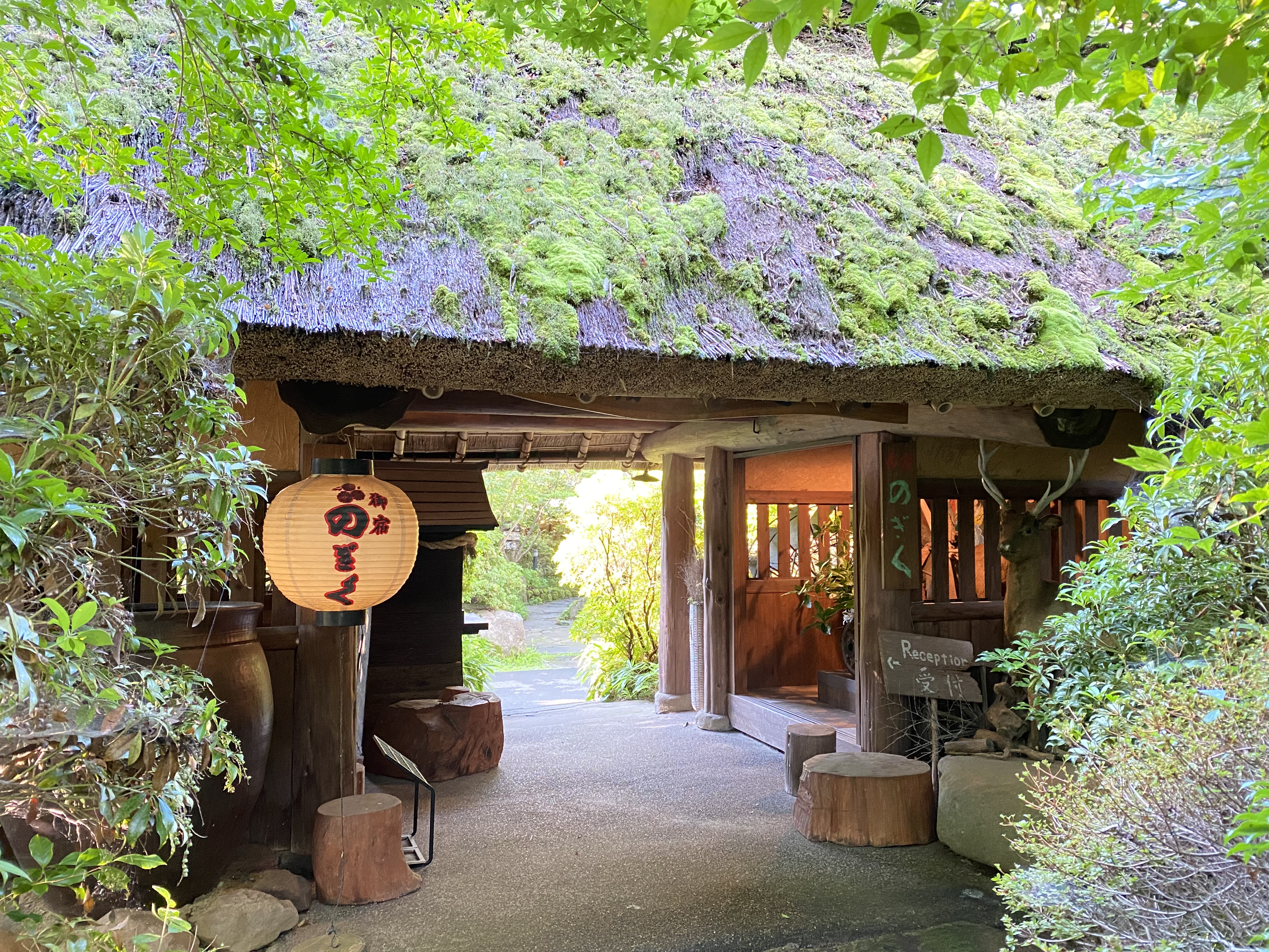 汤布院旅馆野菊