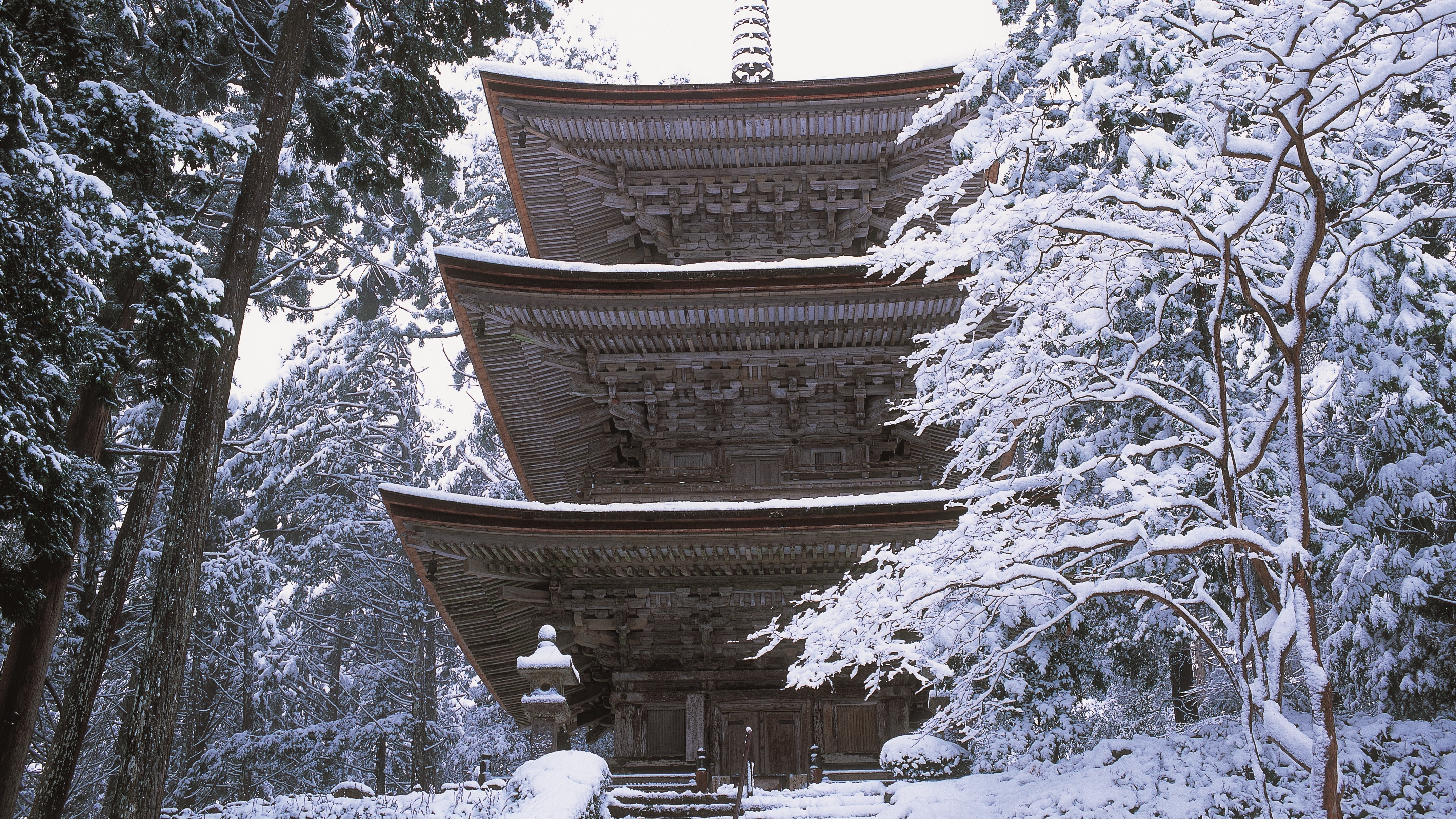 Hotel Sekumiya Wakasa Lodge