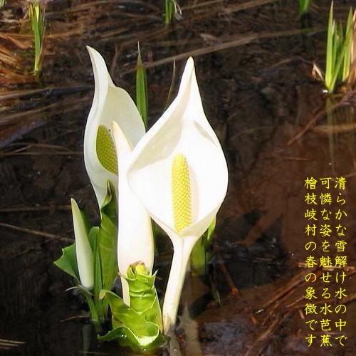 檜枝岐溫泉 尾瀨野