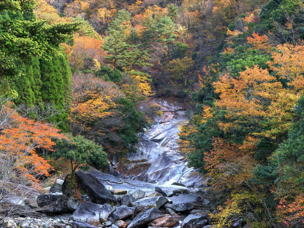 Green Rich Hotel Miyazaki Tachibanadori 2 Yunohana