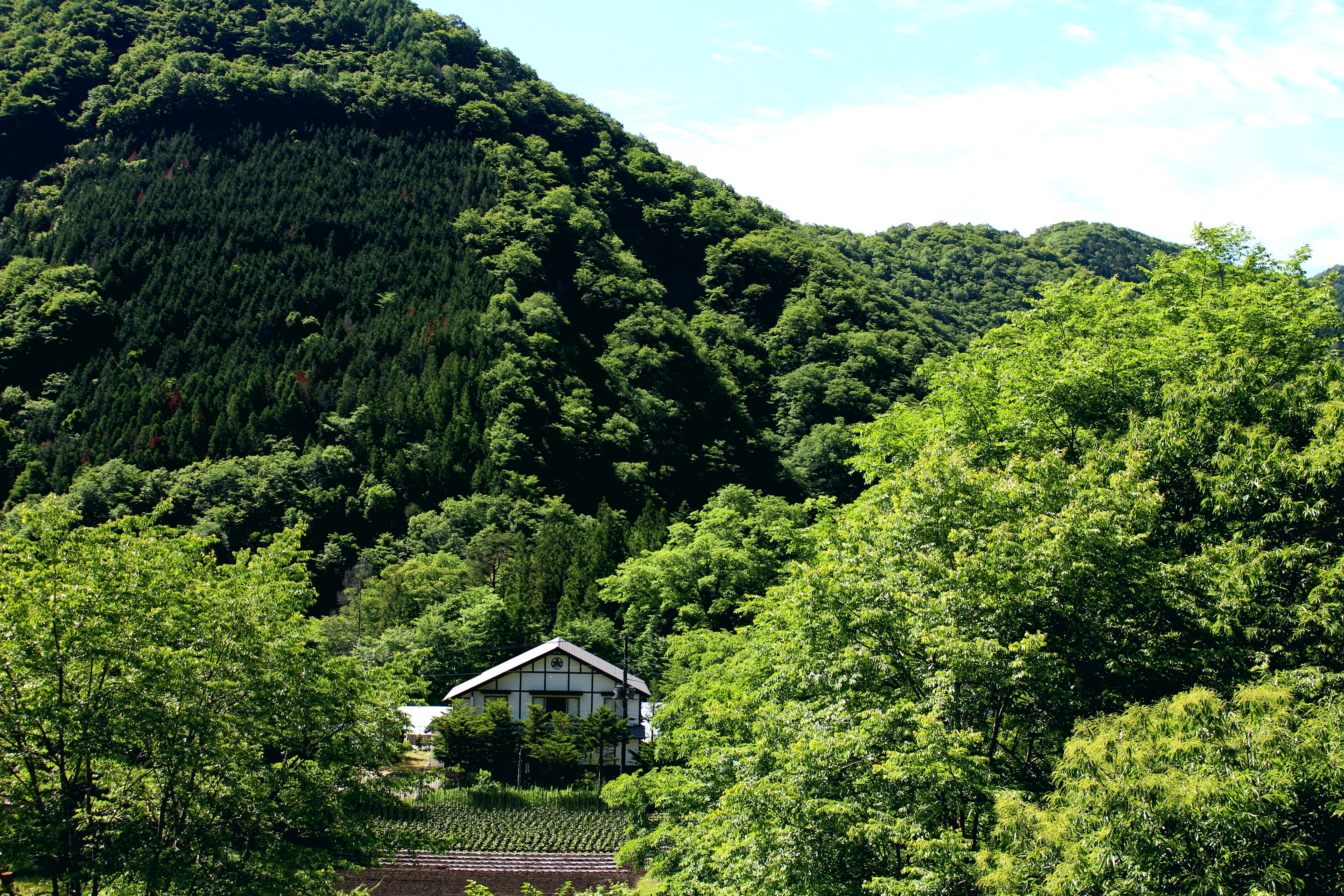 汤西川温泉 火塘之温泉民宿 山久