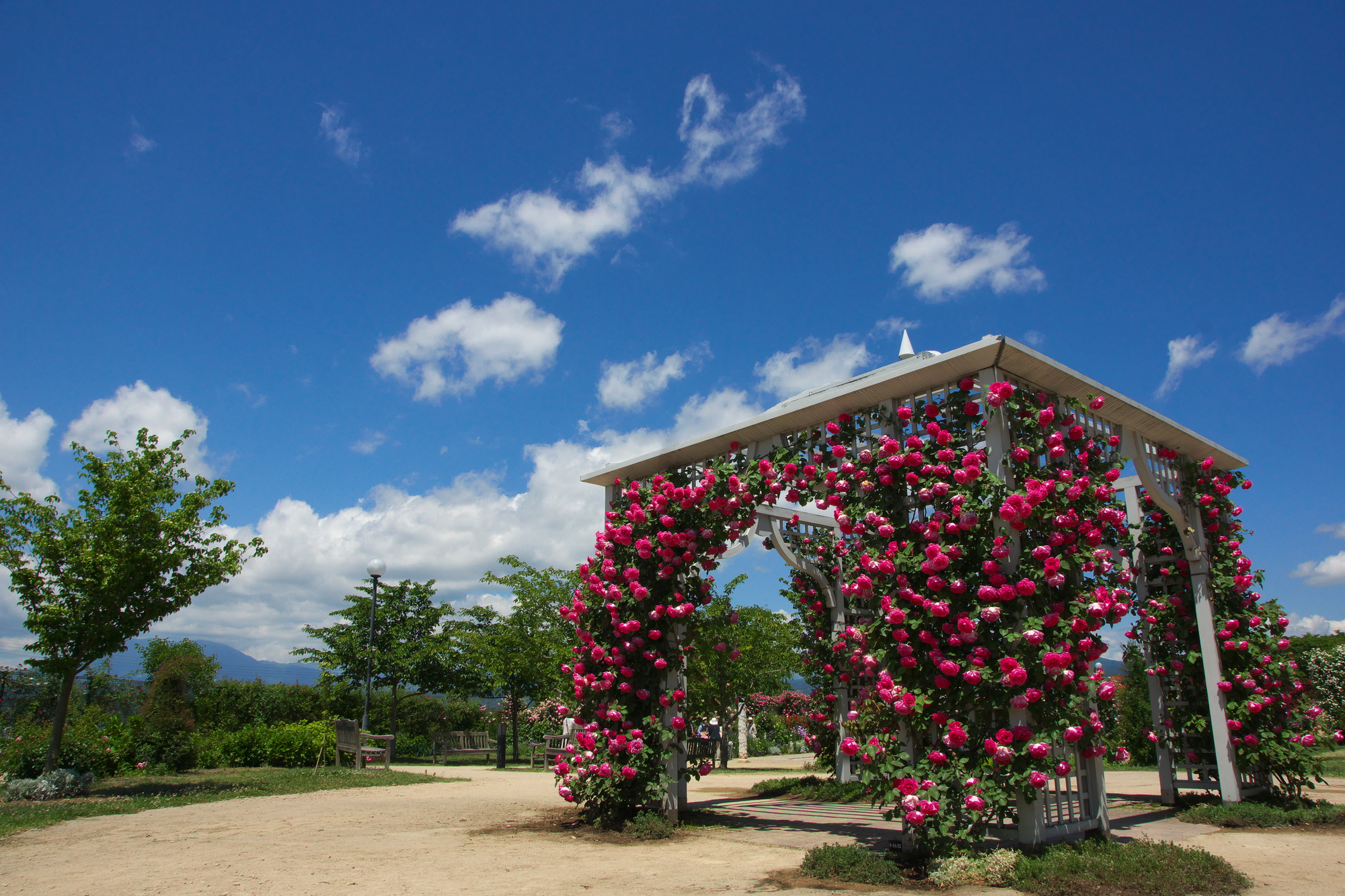 信州中野OYO旅游客栈