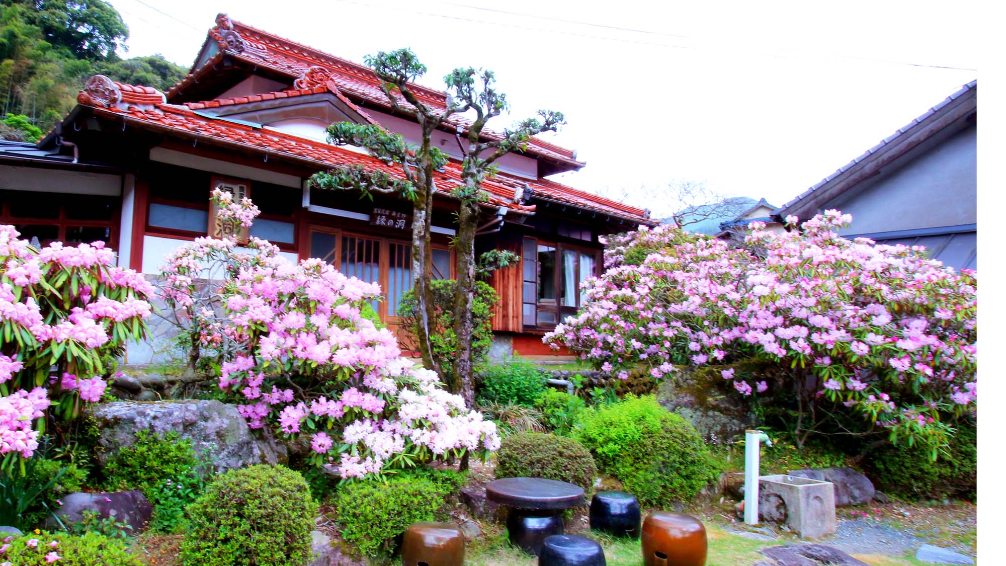 奧星野 綠之洞 農家民宿