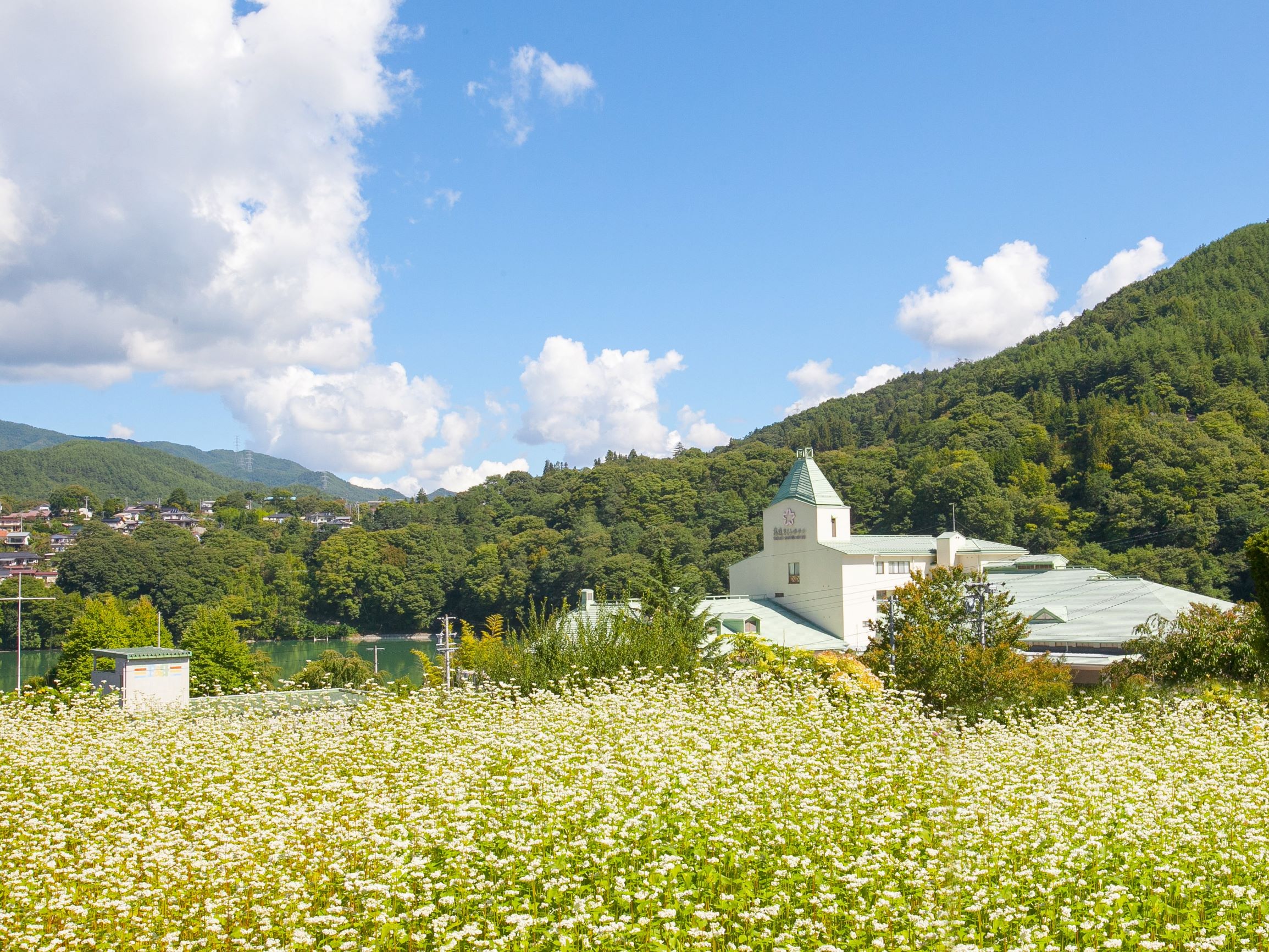 Takato Onsen Takato Sakura Hotel