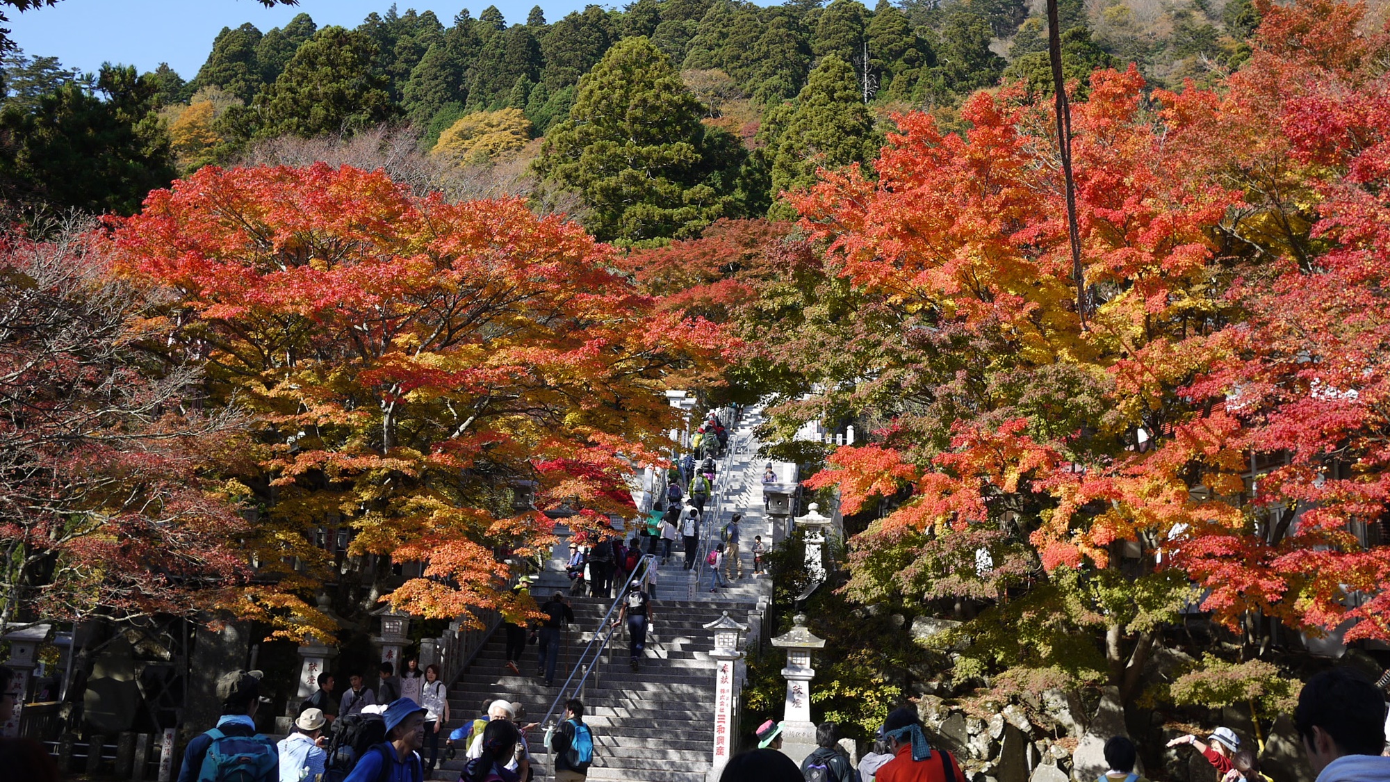 山荘だいとう