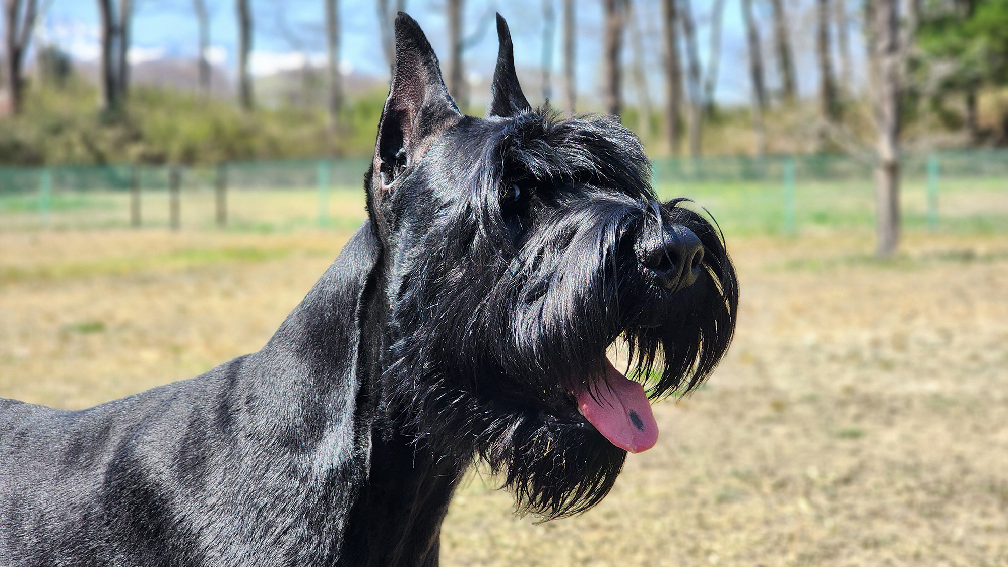 那须高原狗狗小屋Heart Hills