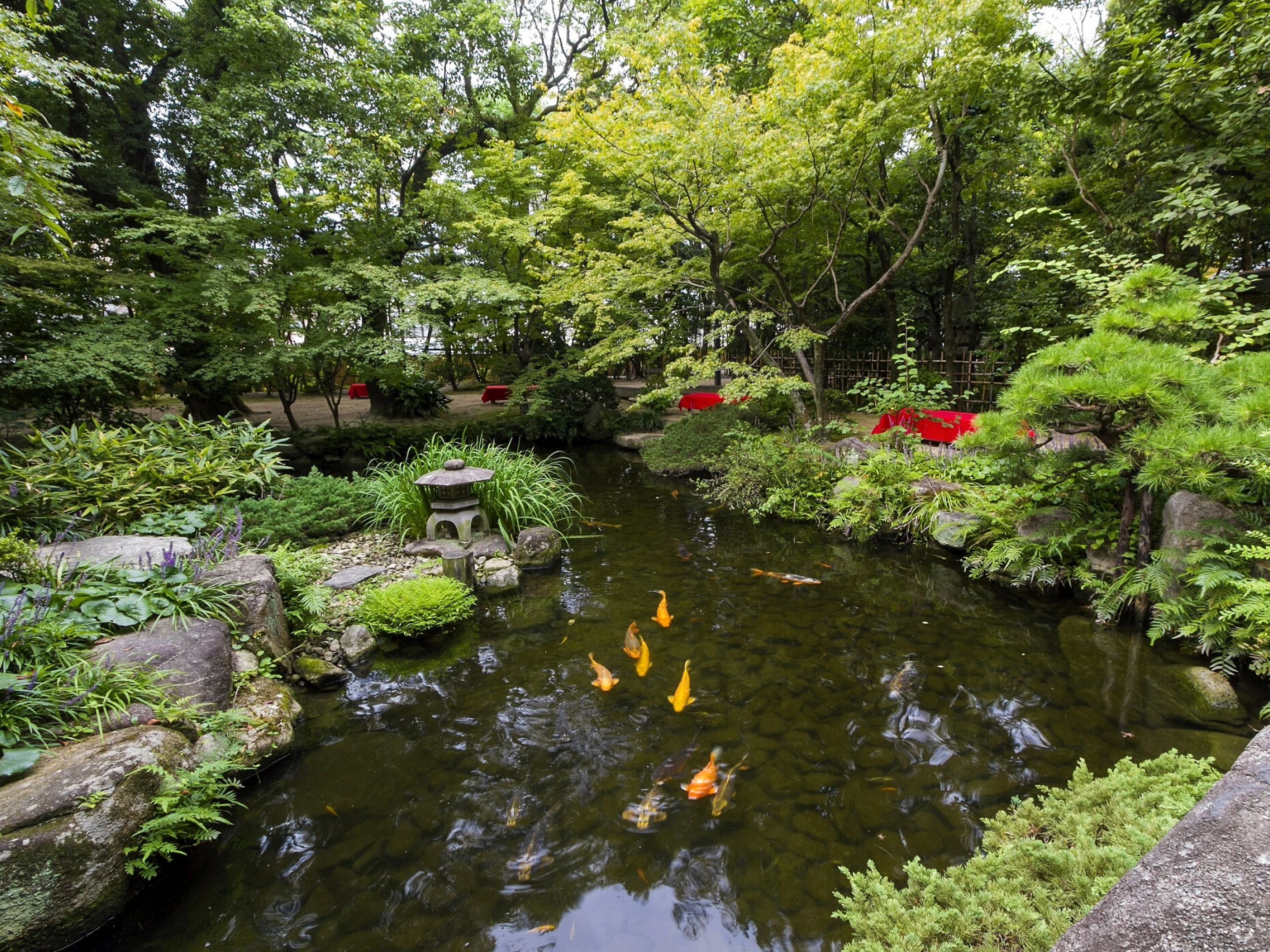 阿尔法贝德博多舒适酒店