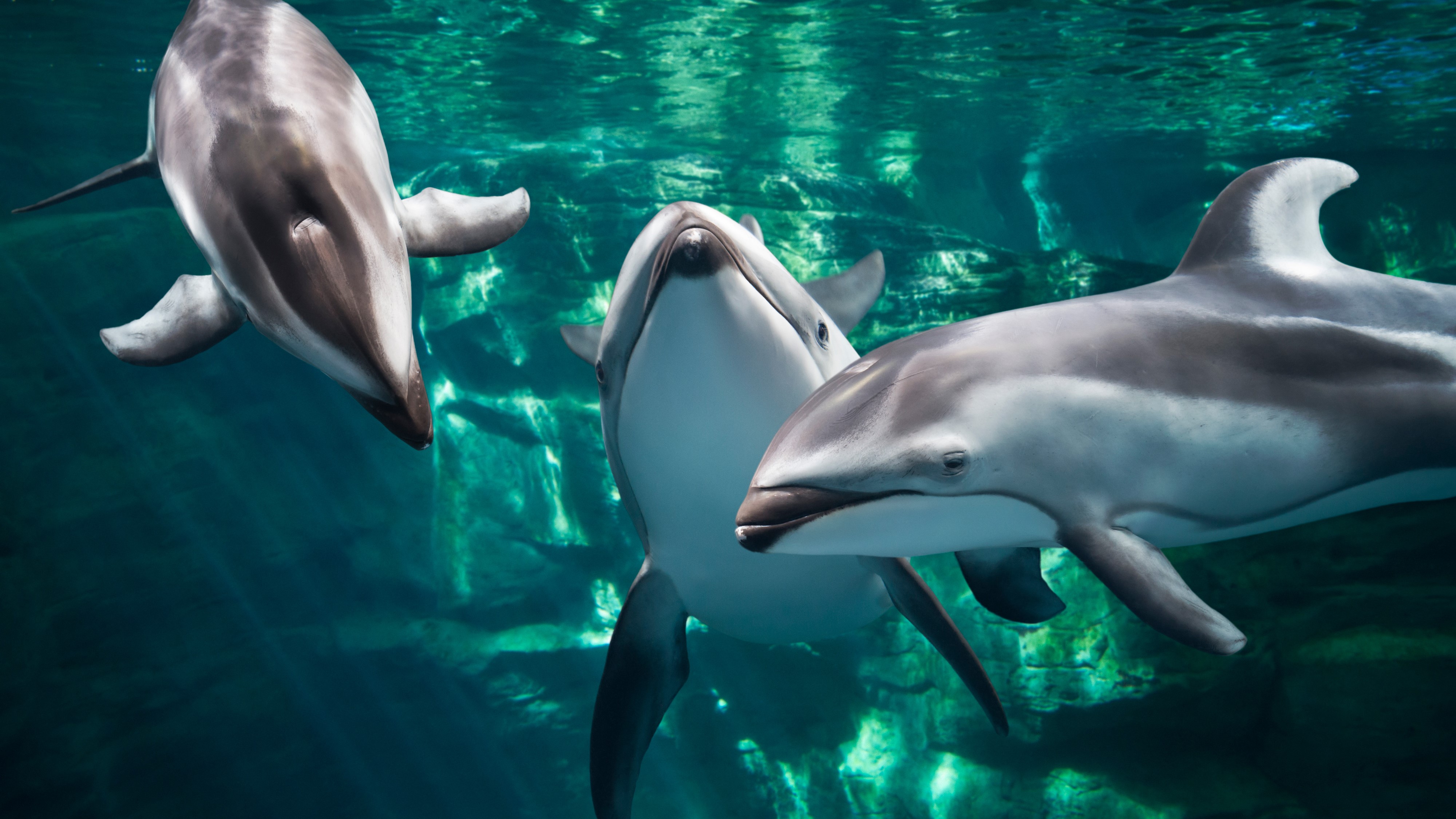 Hiyori Hotel Osaka Suminoe Park Station