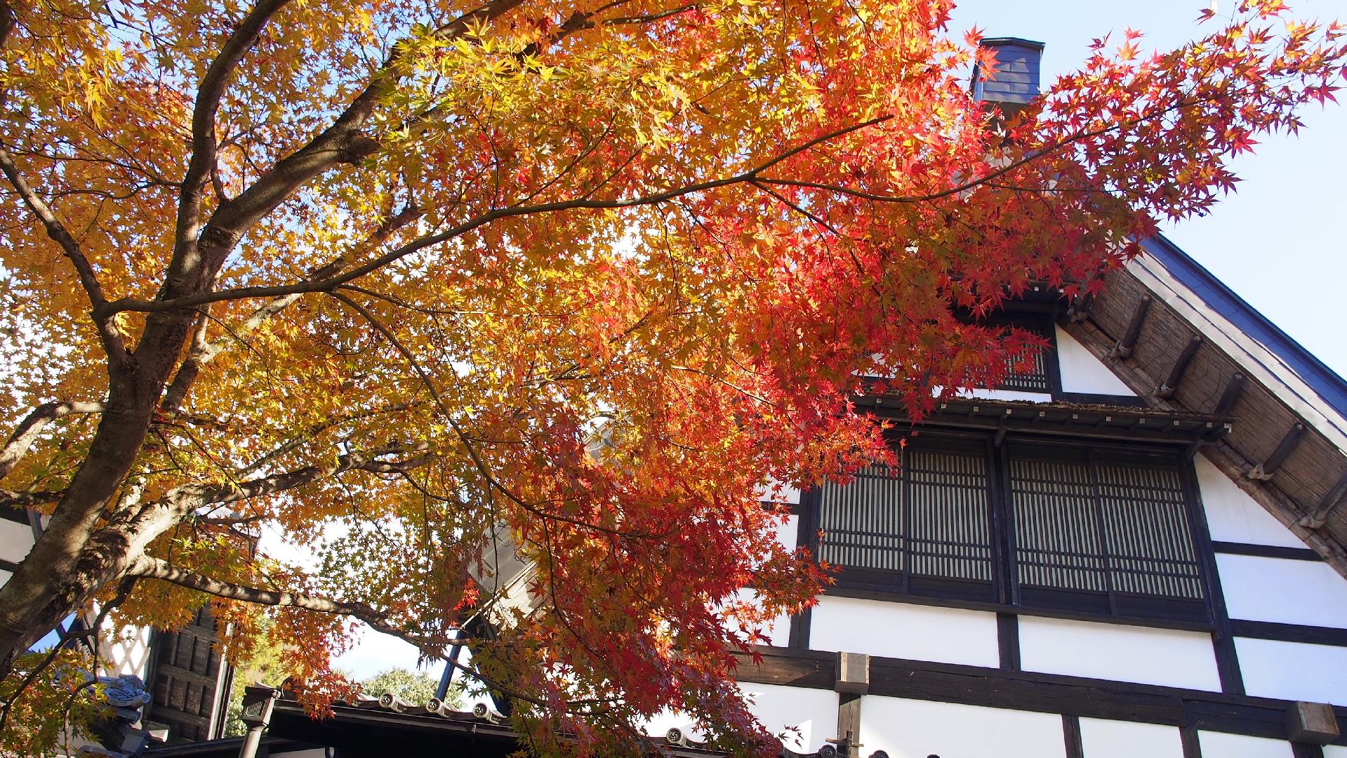 汤谷温泉 合掌造之宿 Hazu合掌