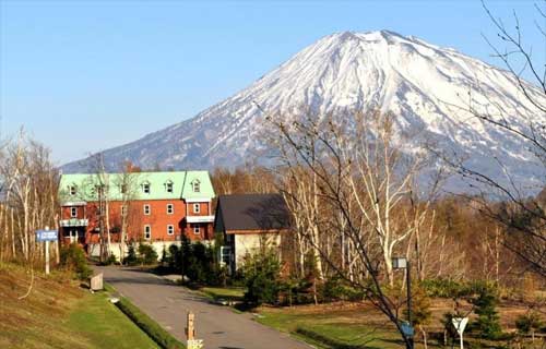 Freedom Inn Niseko