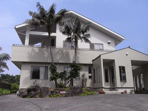 Kencha Rumah (Hachijojima)