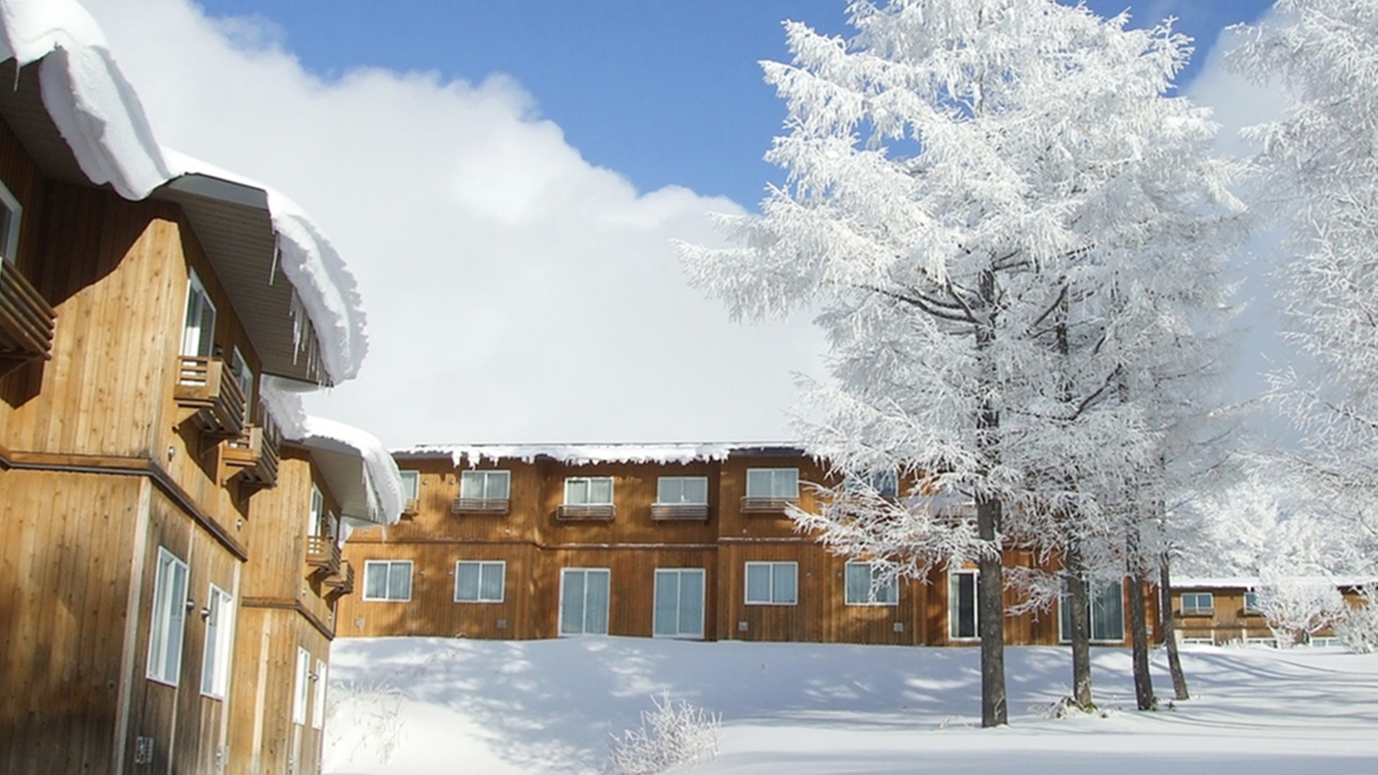 자오 라이자 우디롯지