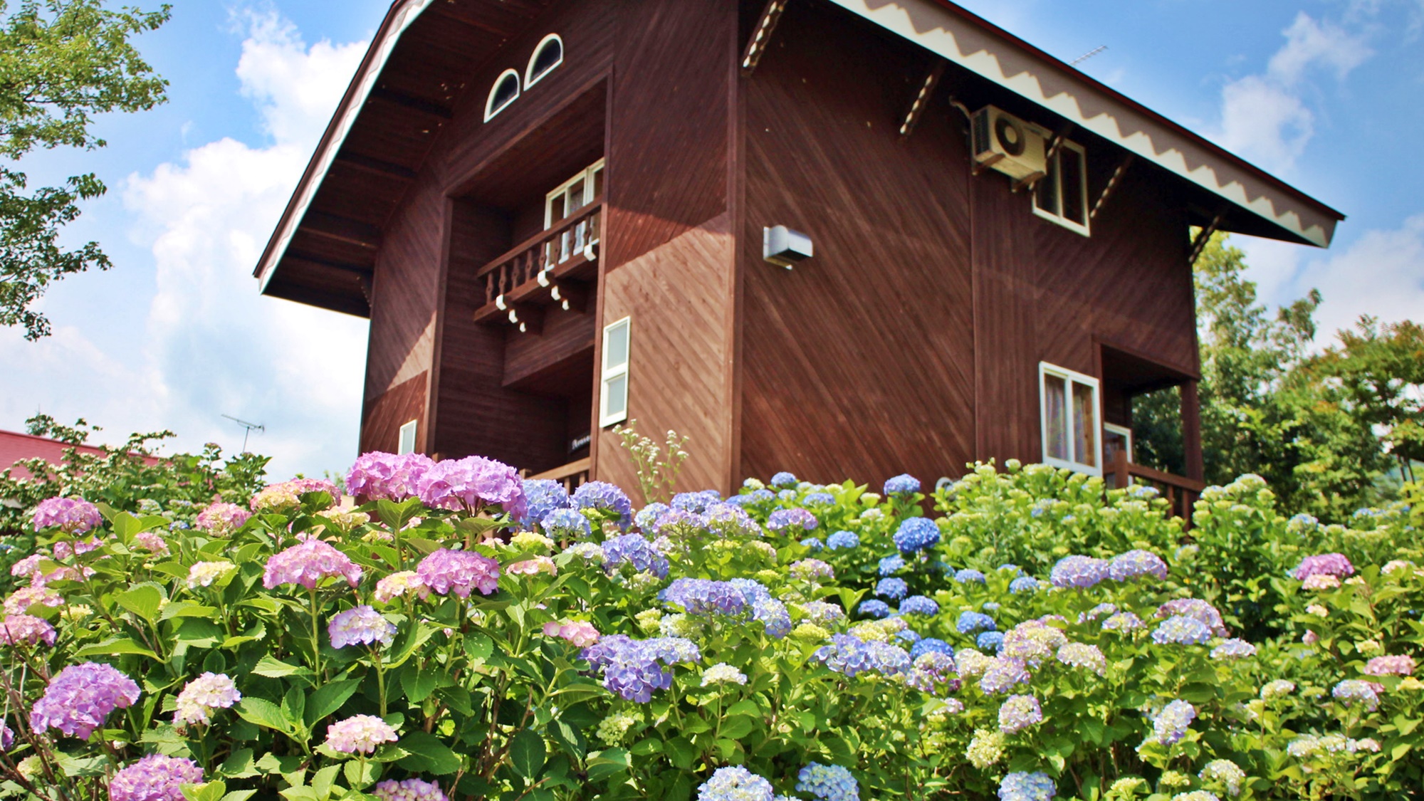 Arosa Onsen Iox-Wald