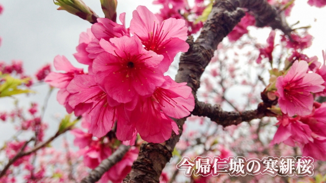 古宇利 Lalamare（古宇利島）