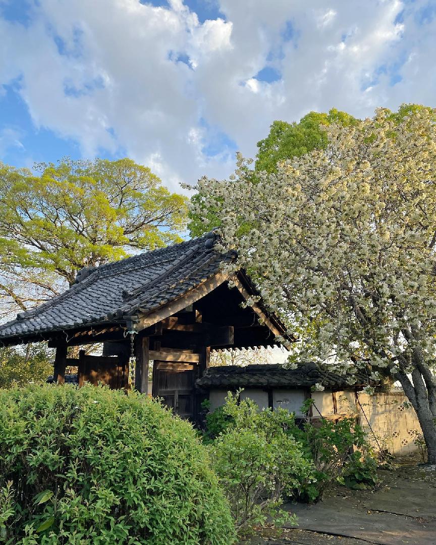 築１００年の古民家　離れ別邸