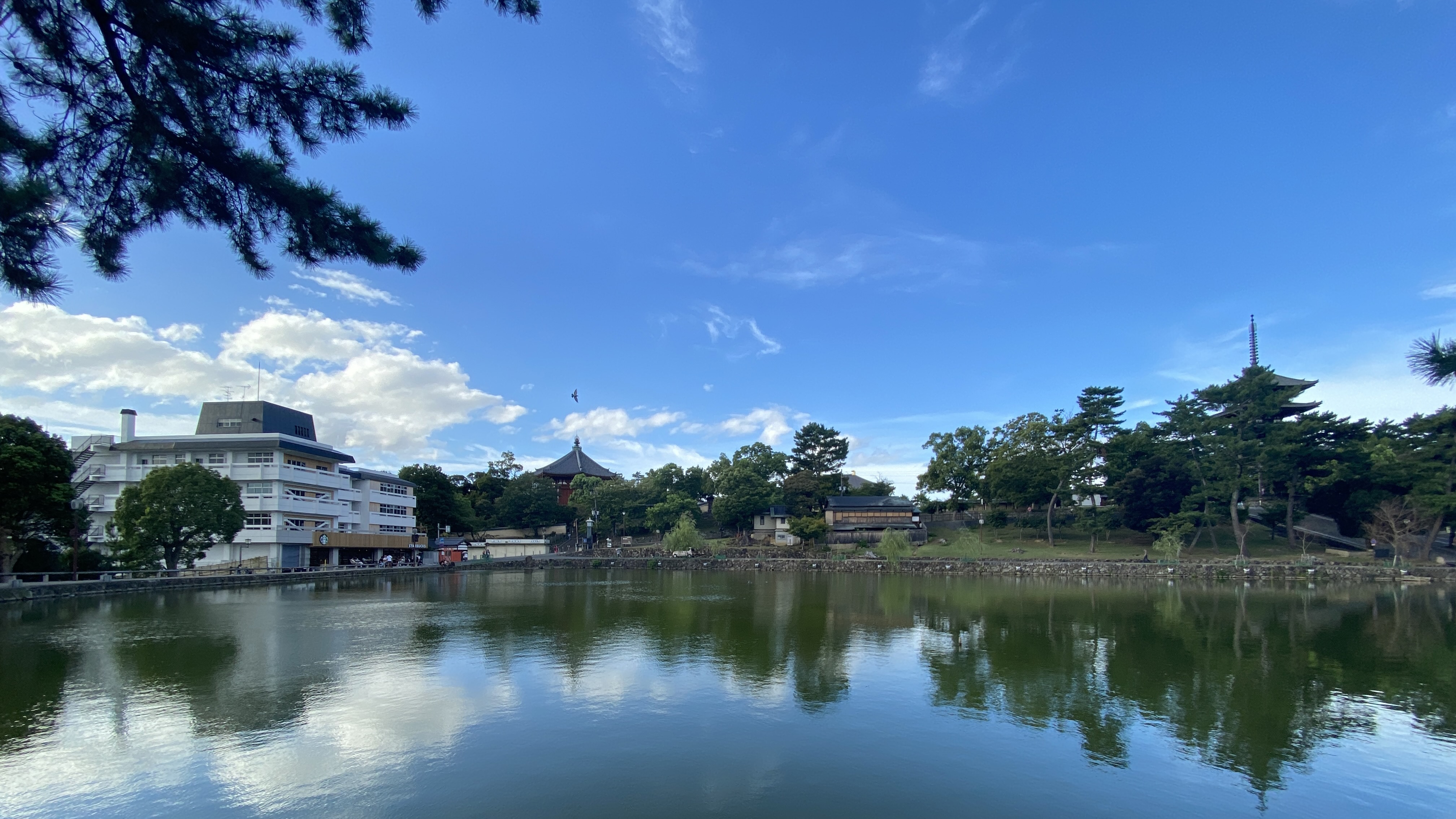 奈良町天平飯店