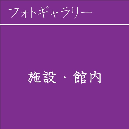 オーシャンテラス　あじさい