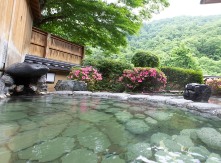 Hanayama Onsen Nuruyu Sanso Tabist