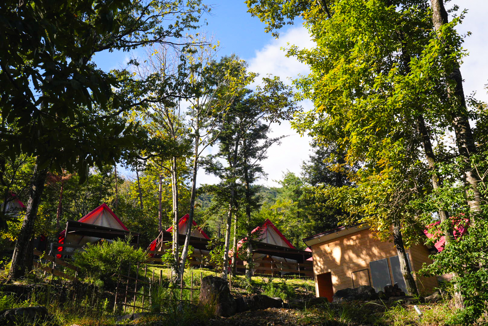 ウッドデザインパーク与位