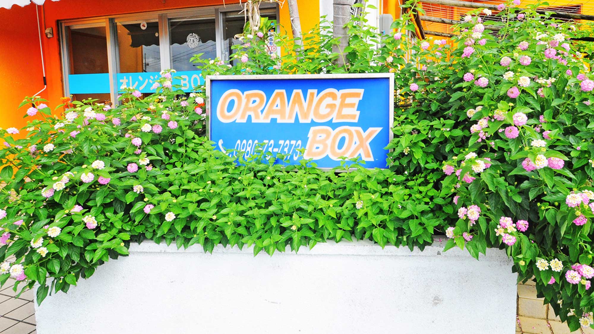 宫古岛旅馆橘色盒子