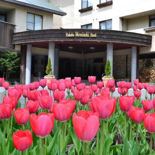 Hakuba Mominoki Hotel