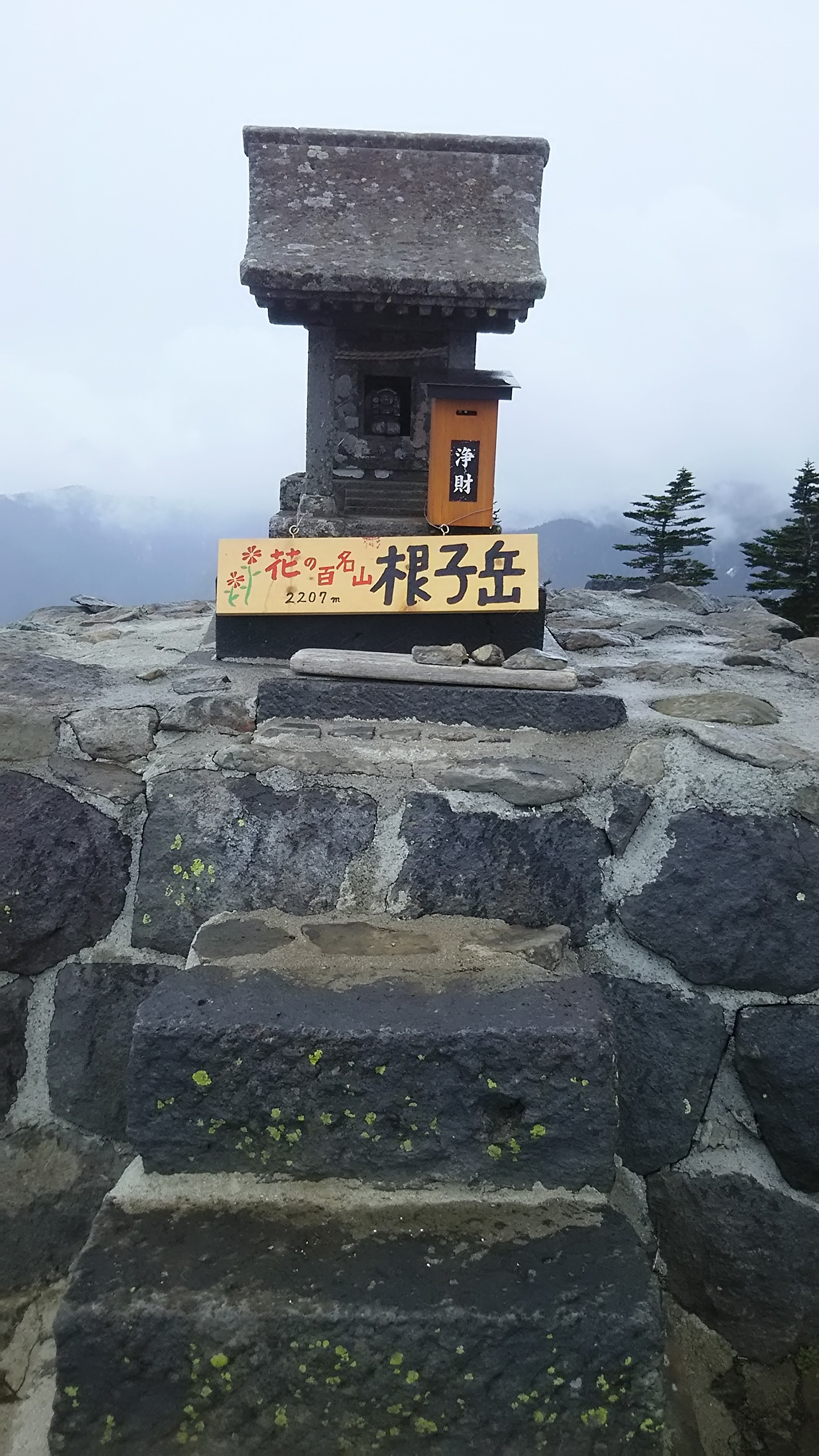 新州菅平高原 膳食艾麗斯