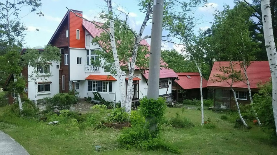 파우더 로지 코르티나