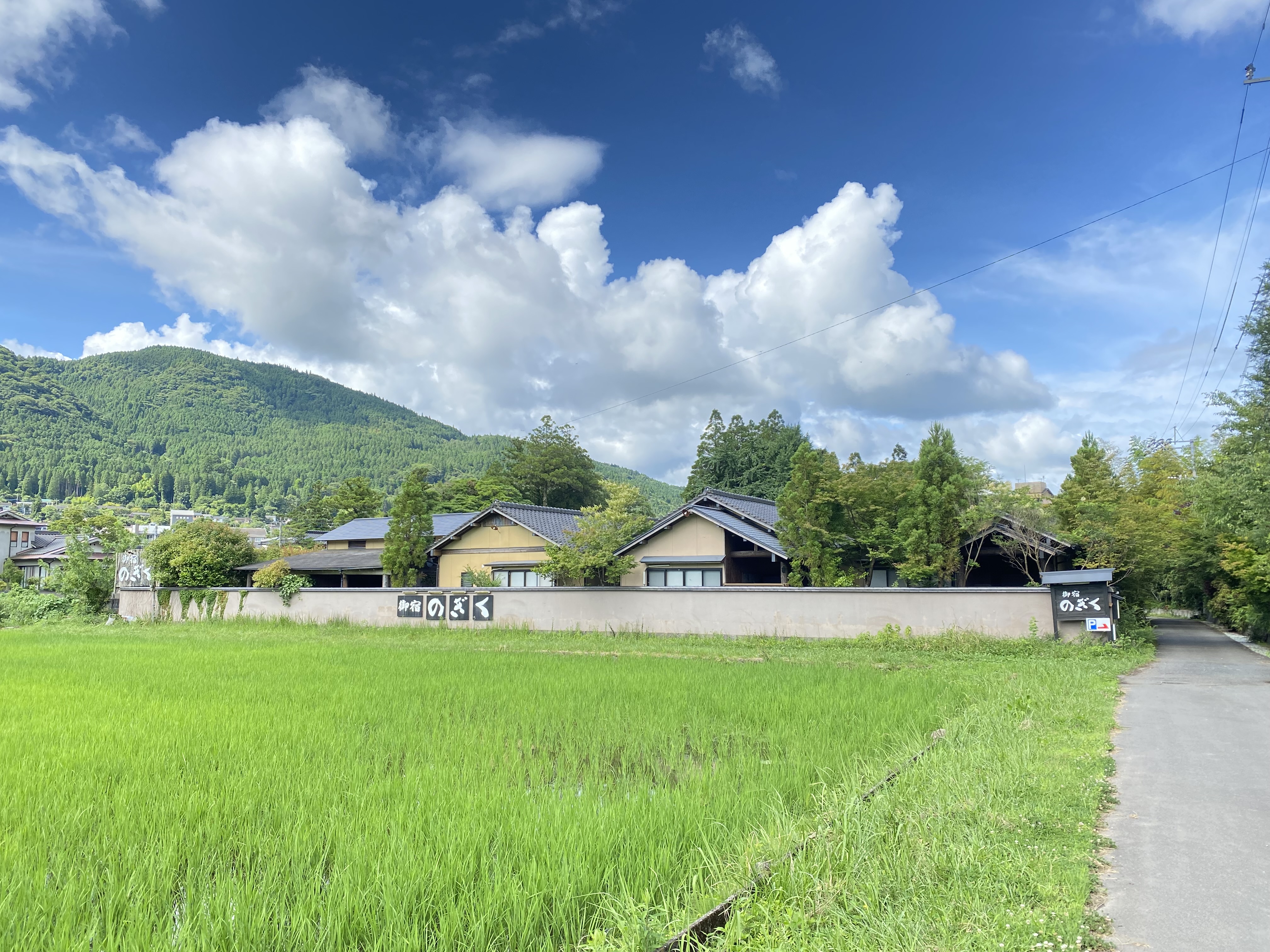 汤布院旅馆野菊