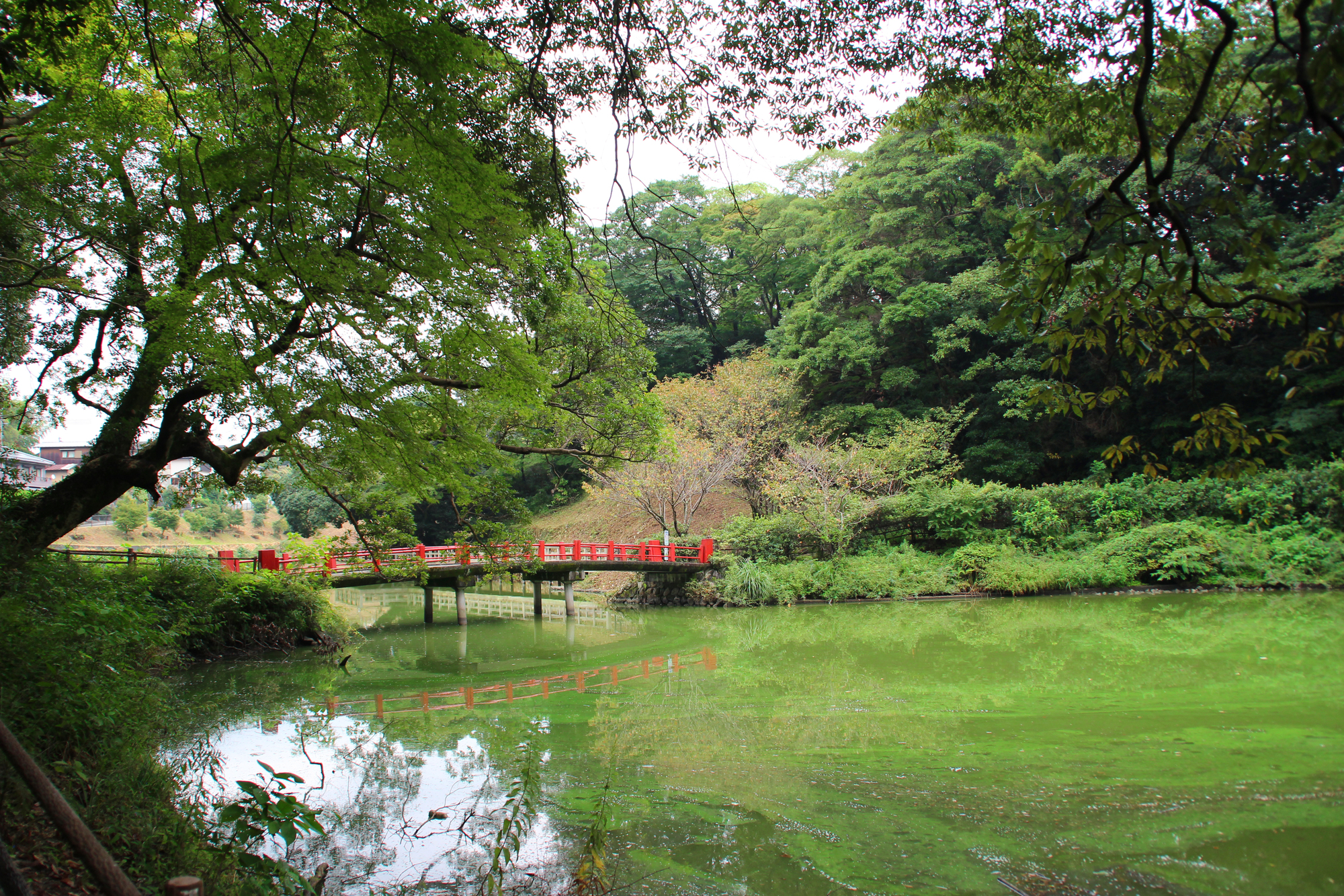 Miya OYO 旅館