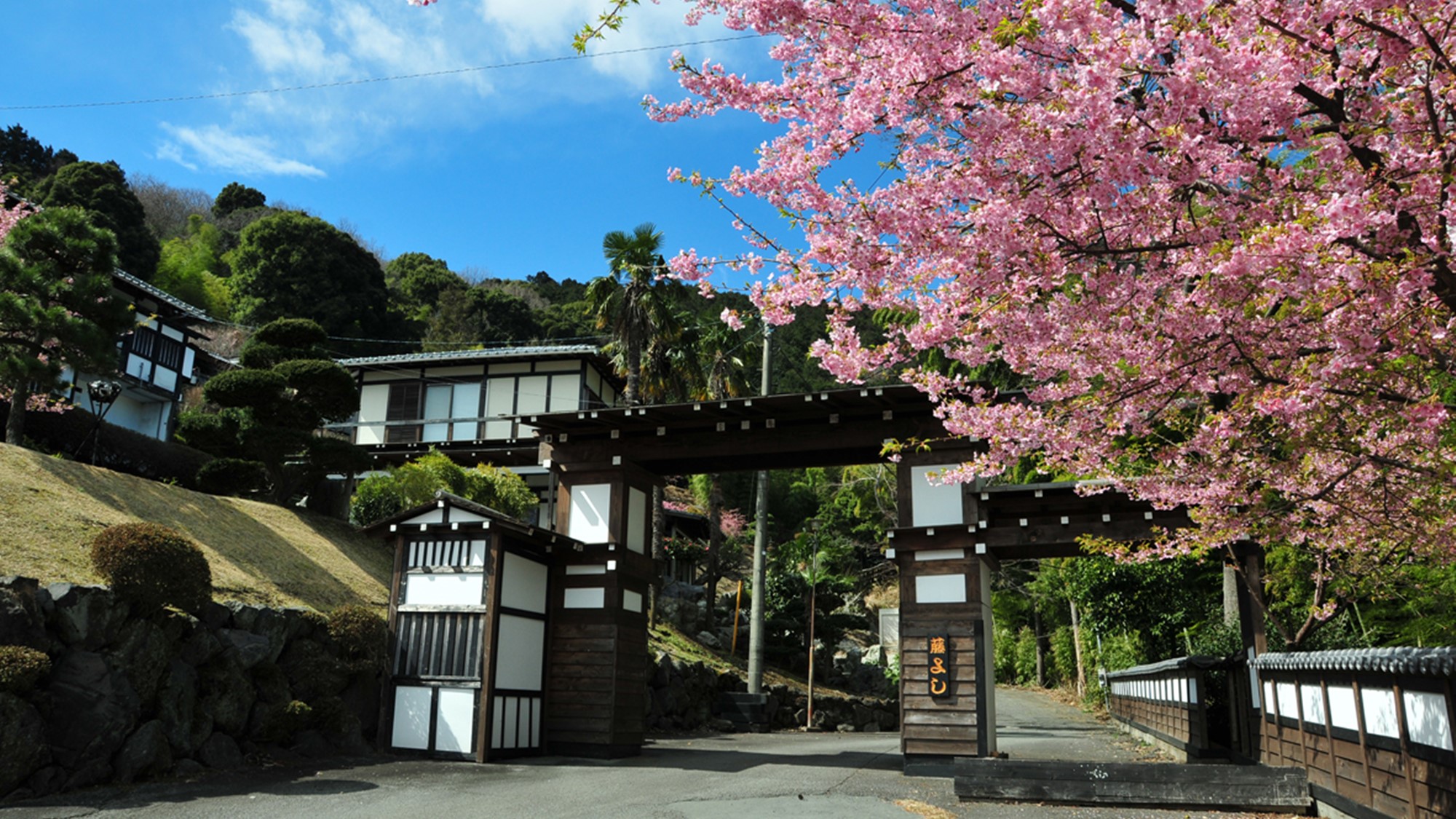 伊東温泉　横浜藤よし伊豆店