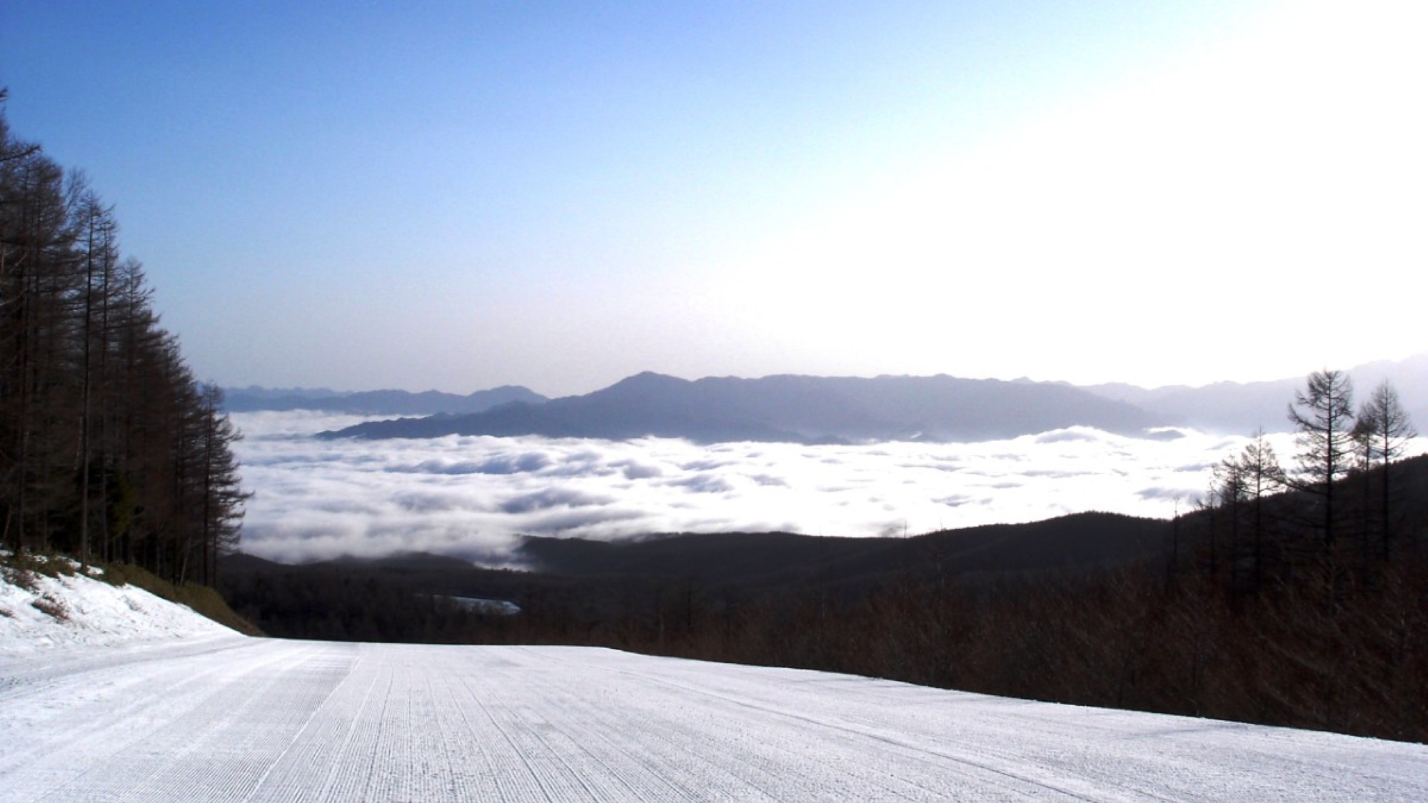 八千穗市民休閒森林度假村