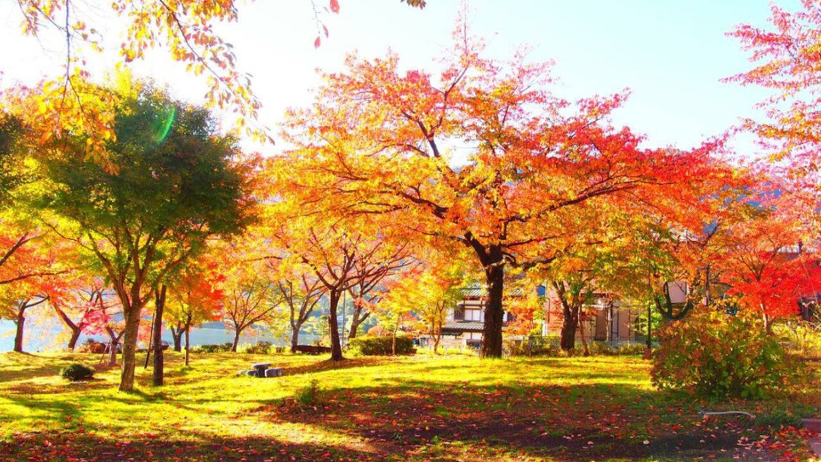 Kawaguchiko Onsen Ashiwada Hotel