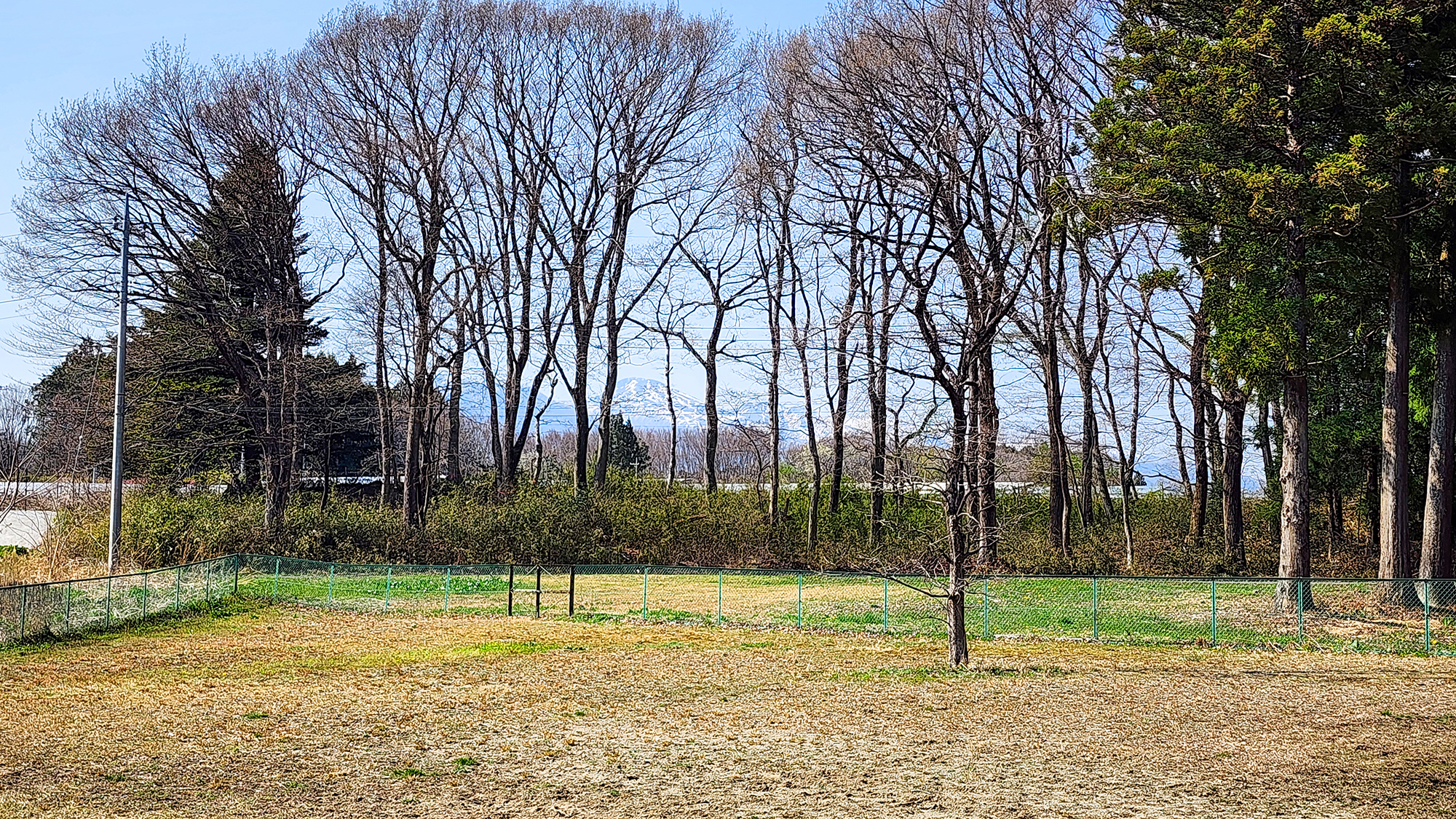 那须高原狗狗小屋Heart Hills