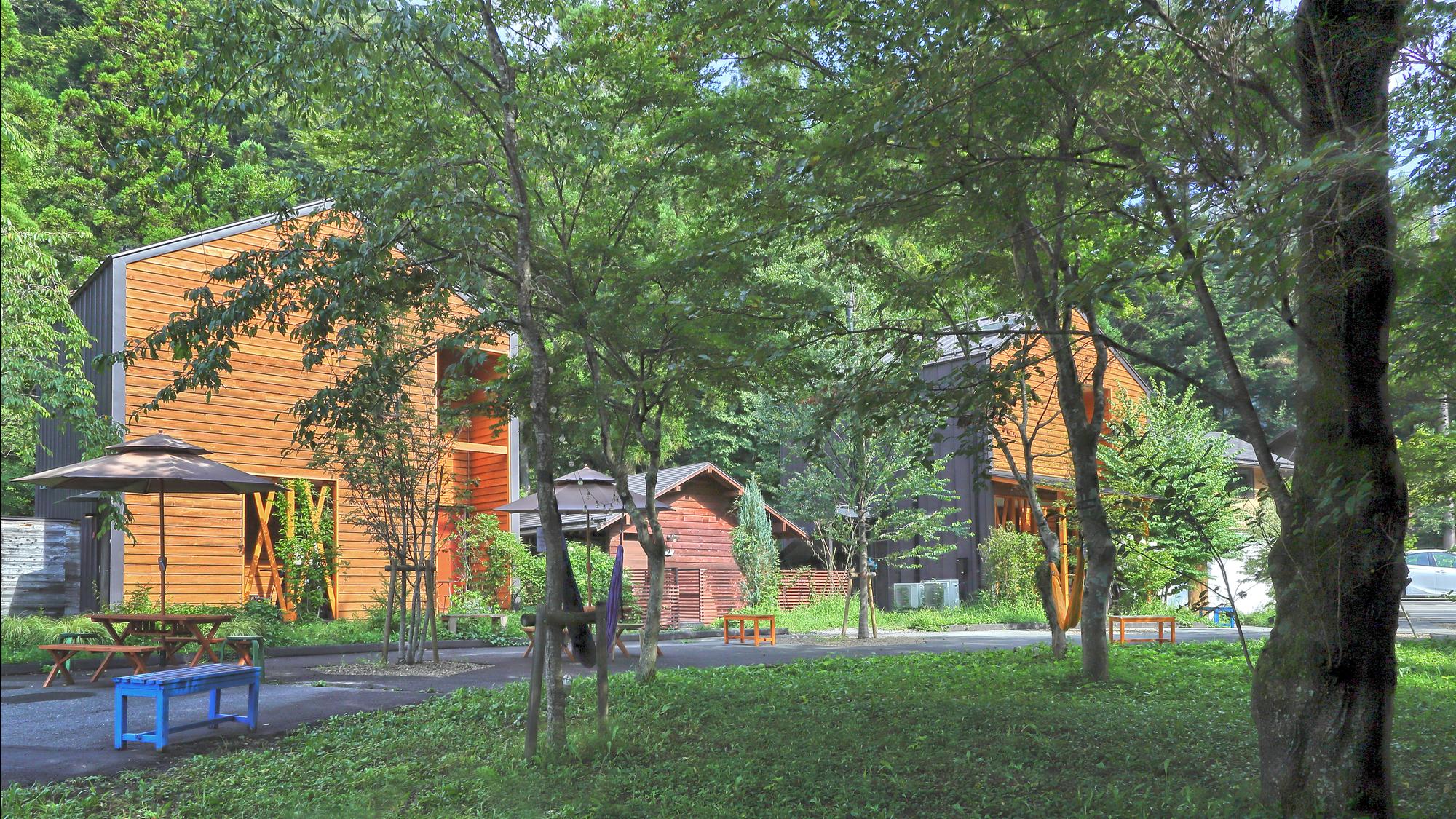 岛蓝温泉豪华露营