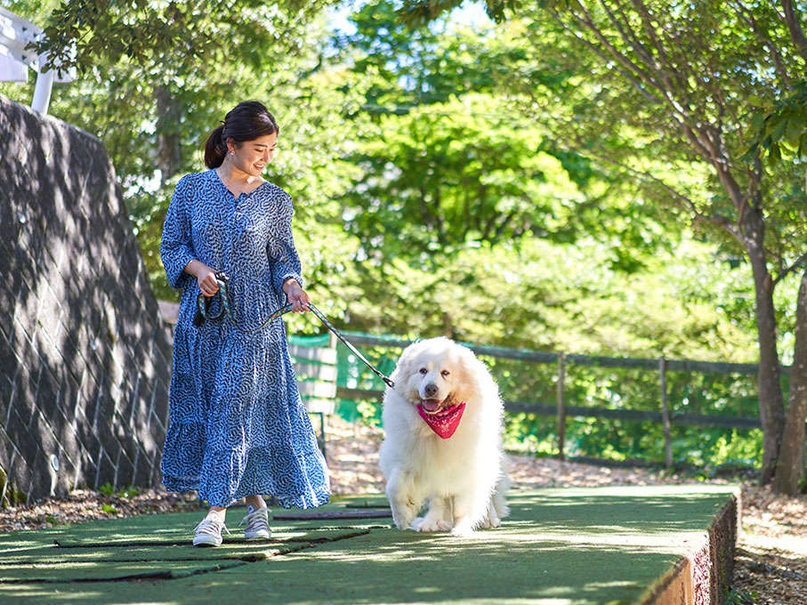 Nasu Onsen Pet & Spa Hotel Nasu Wan