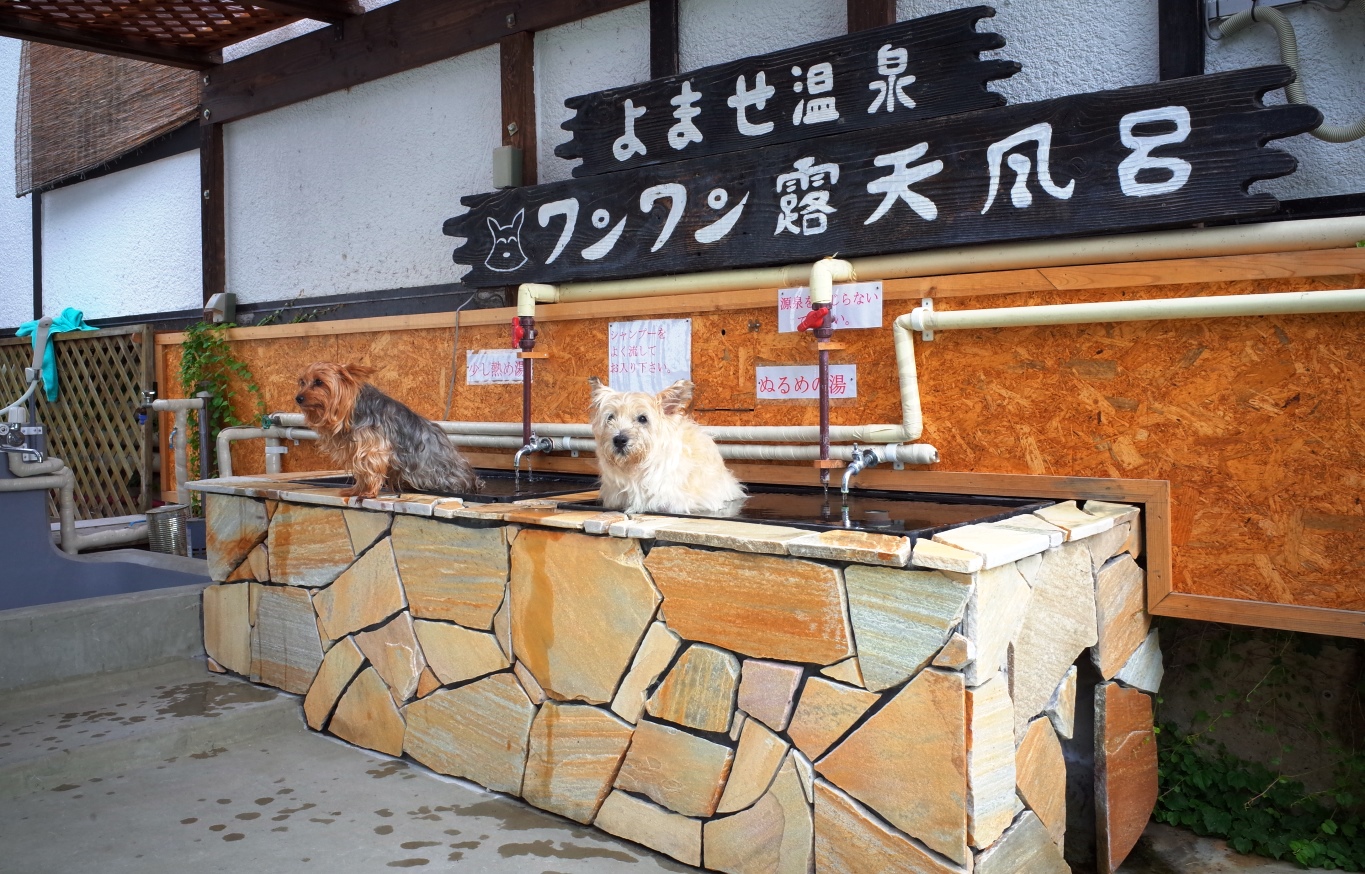 よませ温泉　プチホテル　パディントンハウス